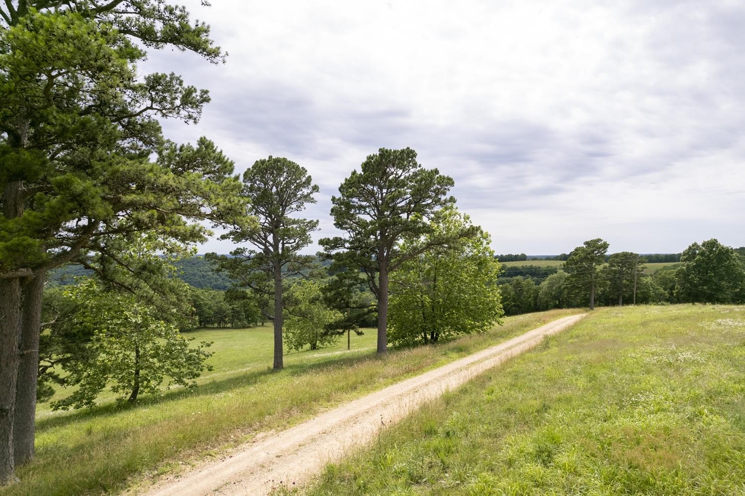 Not in Subdivision - Farm