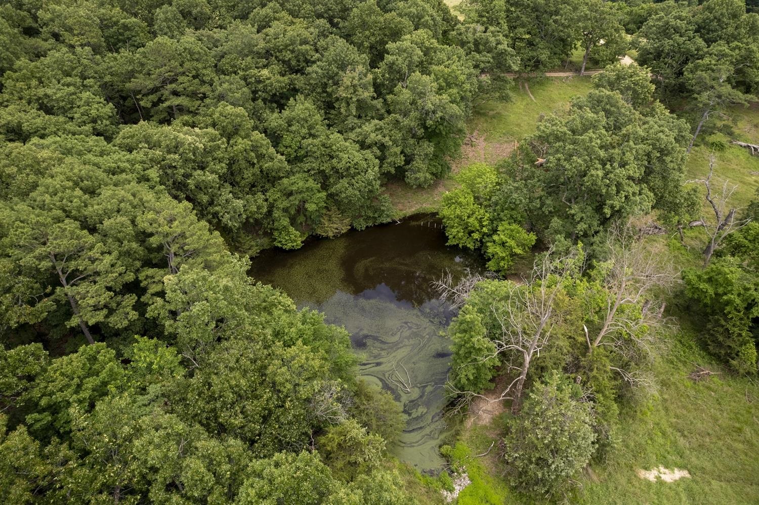 Not in Subdivision - Farm