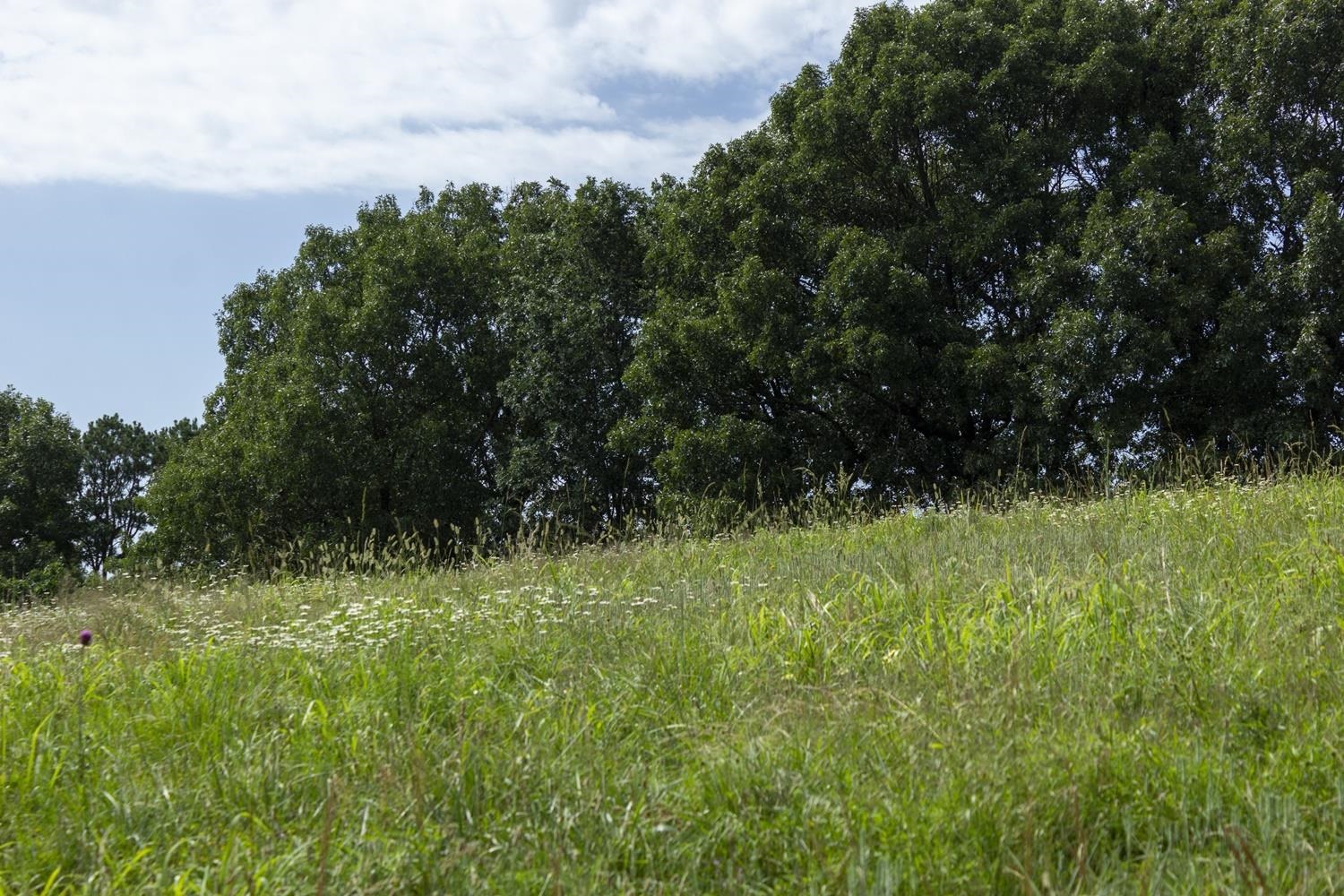 Not in Subdivision - Farm