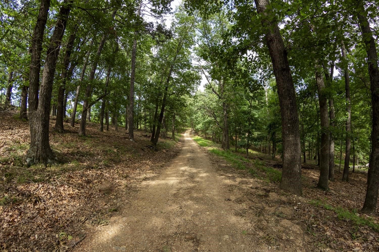 Not in Subdivision - Farm