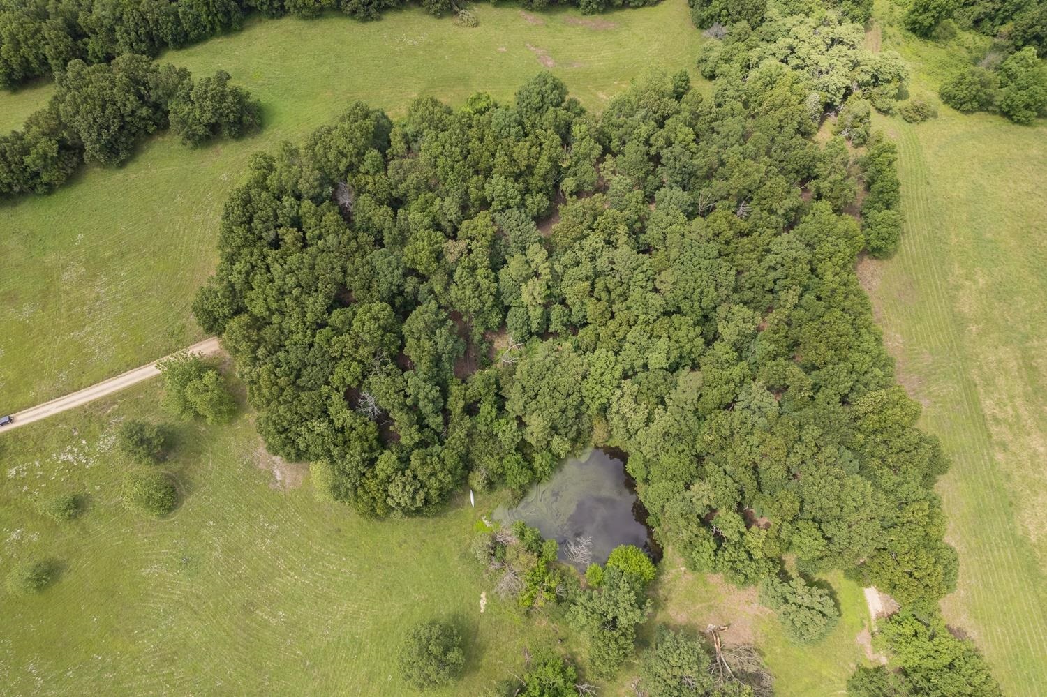 Not in Subdivision - Farm