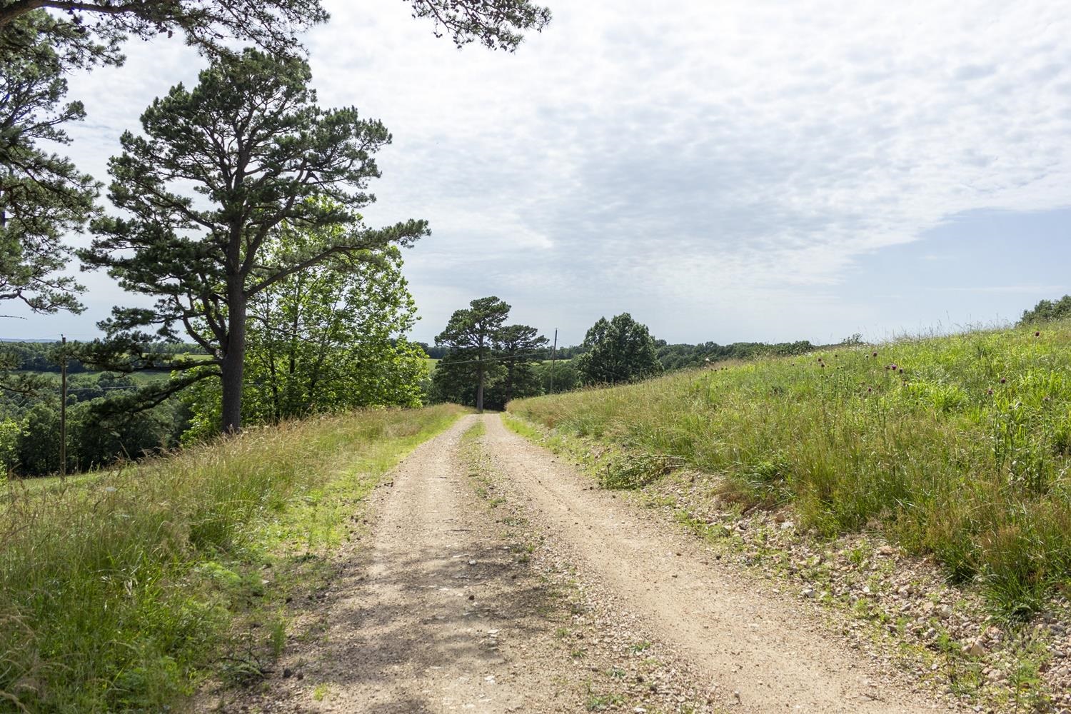 Not in Subdivision - Farm