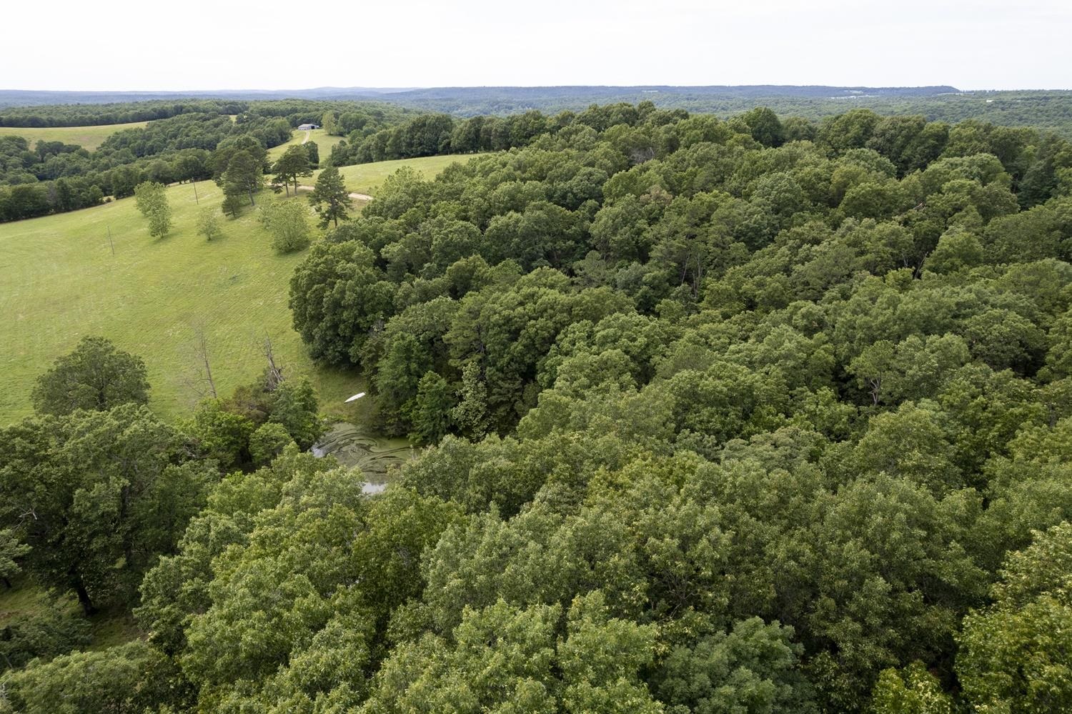 Not in Subdivision - Farm