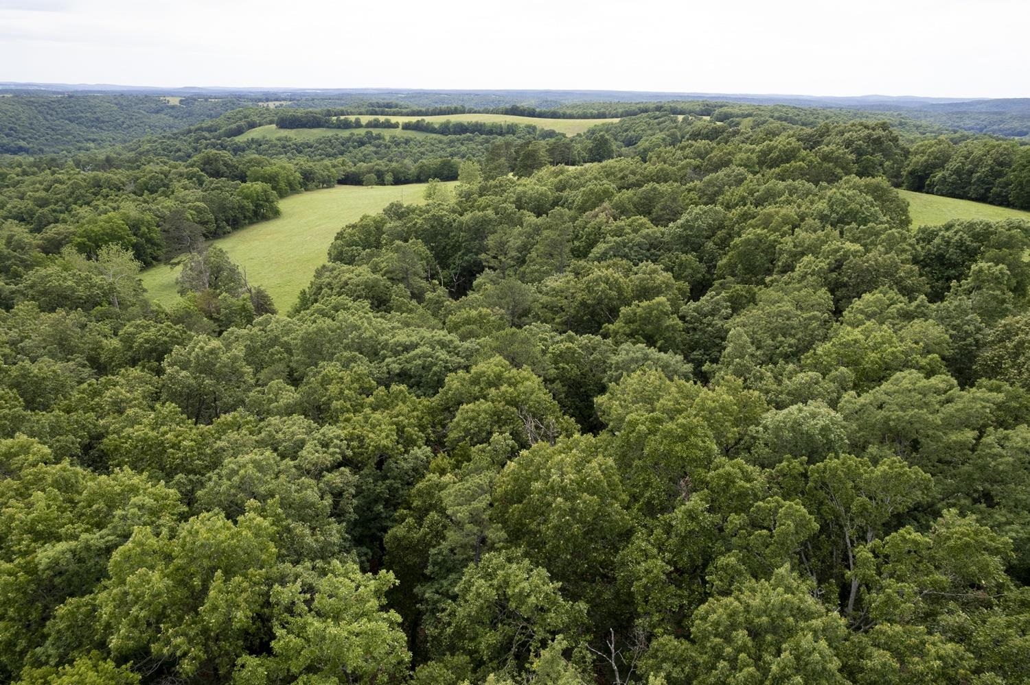 Not in Subdivision - Farm