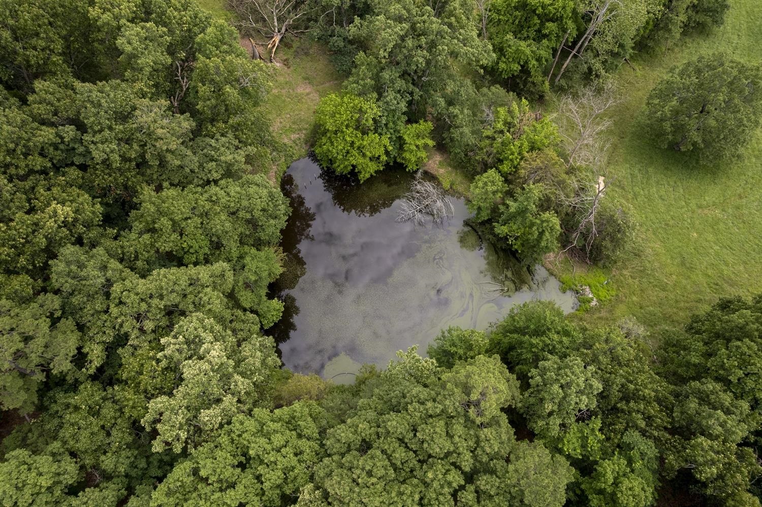 Not in Subdivision - Farm