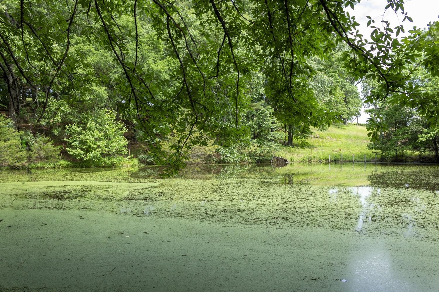 Not in Subdivision - Farm