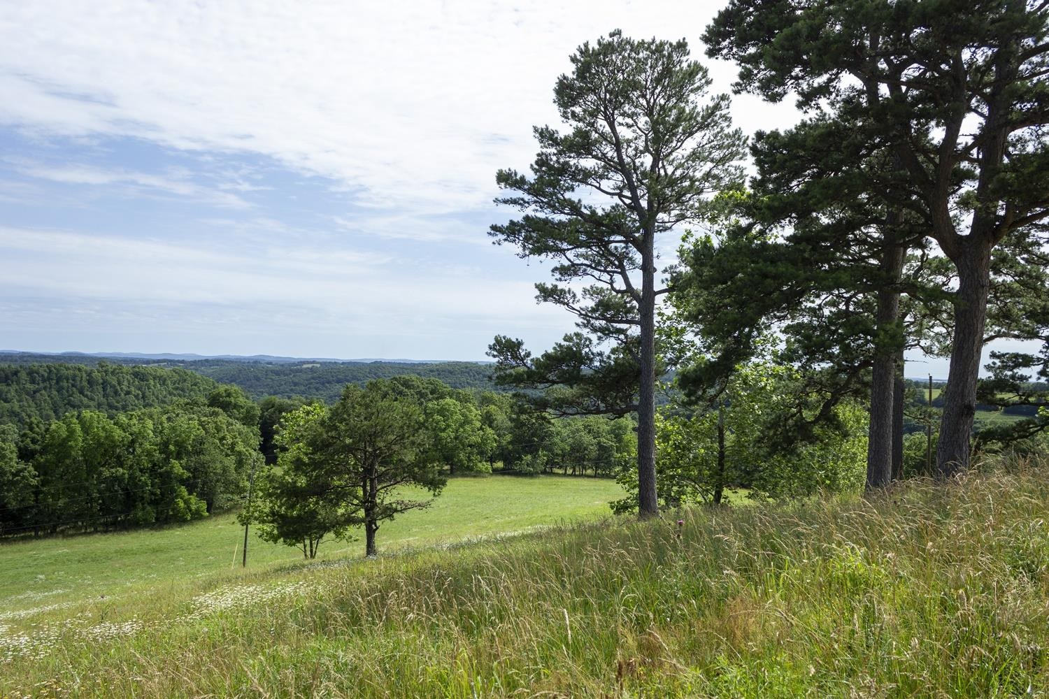 Not in Subdivision - Farm