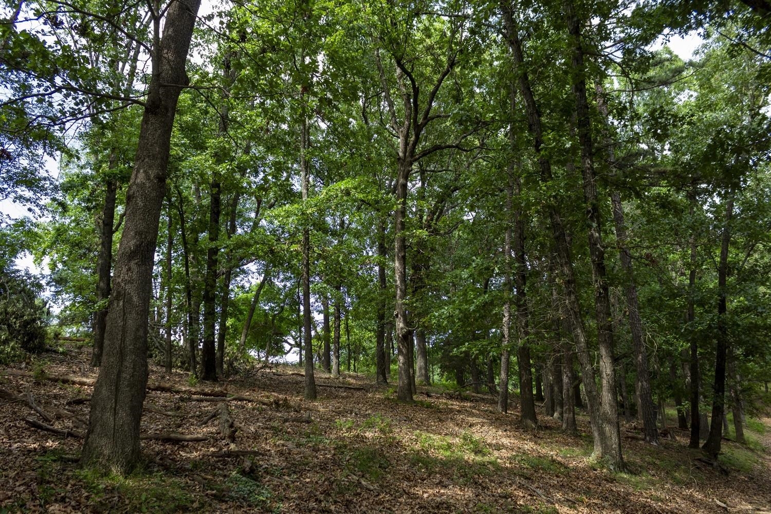 Not in Subdivision - Farm