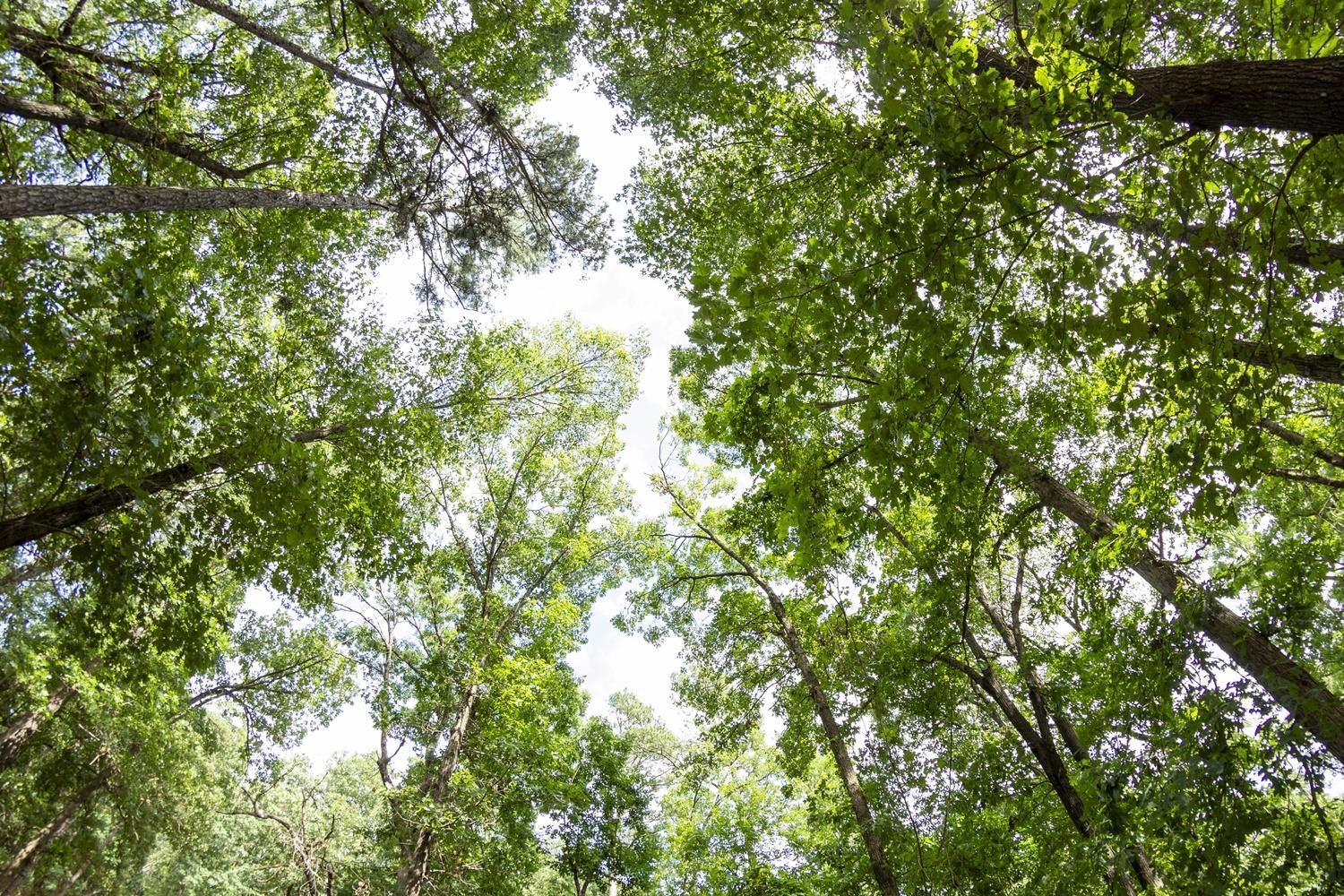 Not in Subdivision - Farm