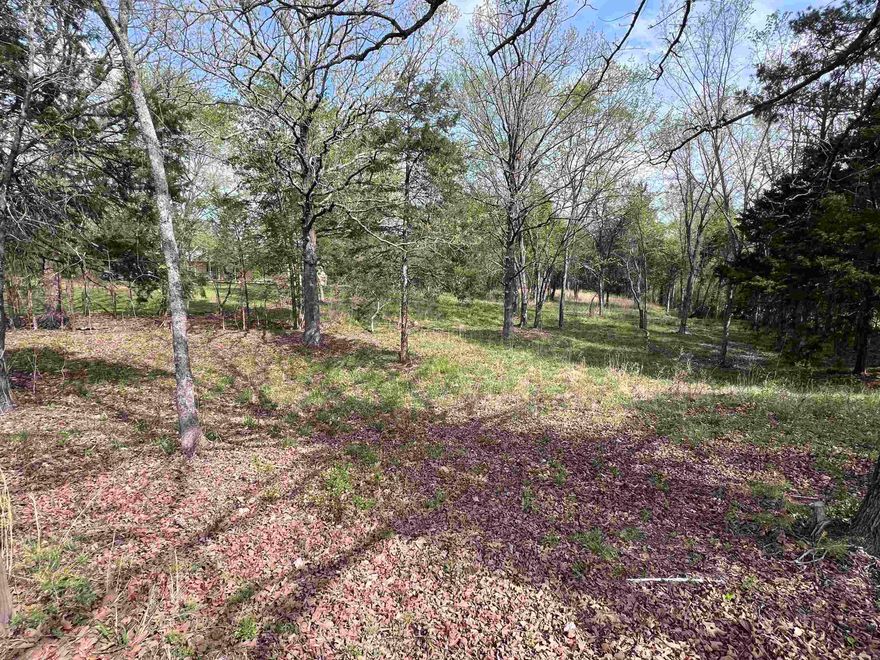 Beautiful 1+ acre to build your dream home.  Located in the Ferndale Area and surrounded by other very nice homes.  Large mature trees still on property and would make the perfect spot just out of town. Just minutes from Costco, Kroger, and the Chenal Promenade. FOR GPS location, put in 17824 Burlingame and it to the right of that address.