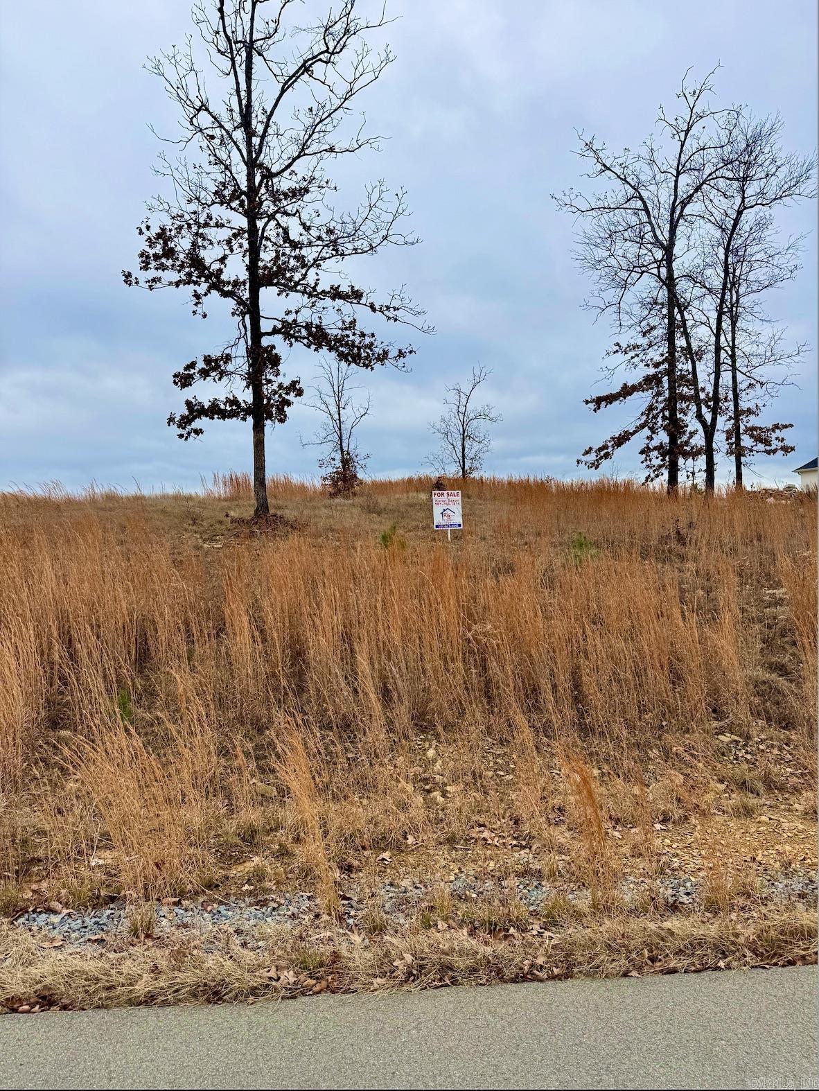 LAKEVIEW WEST - Land