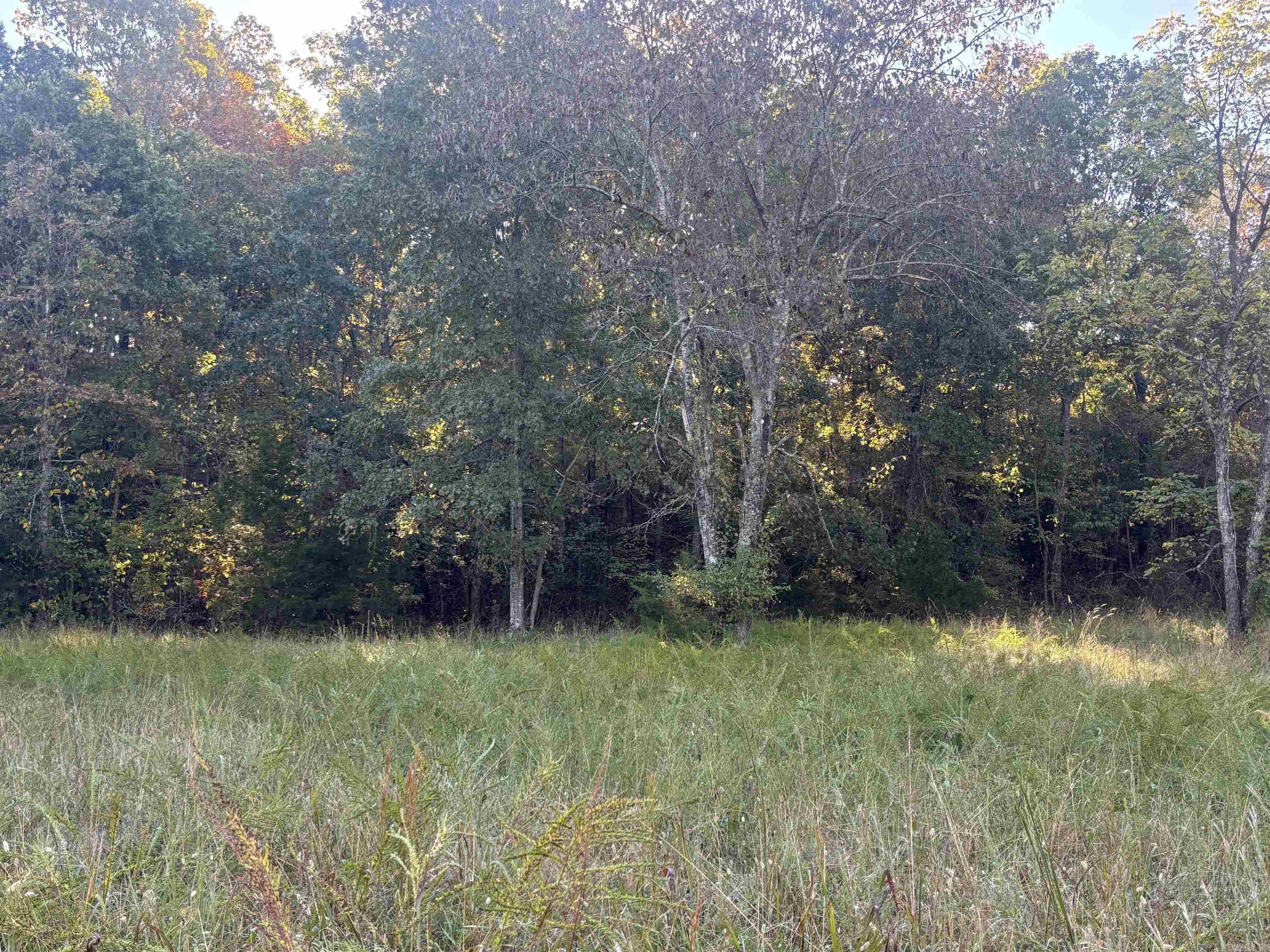 TAYLOR FOSTER BRANCH - Land