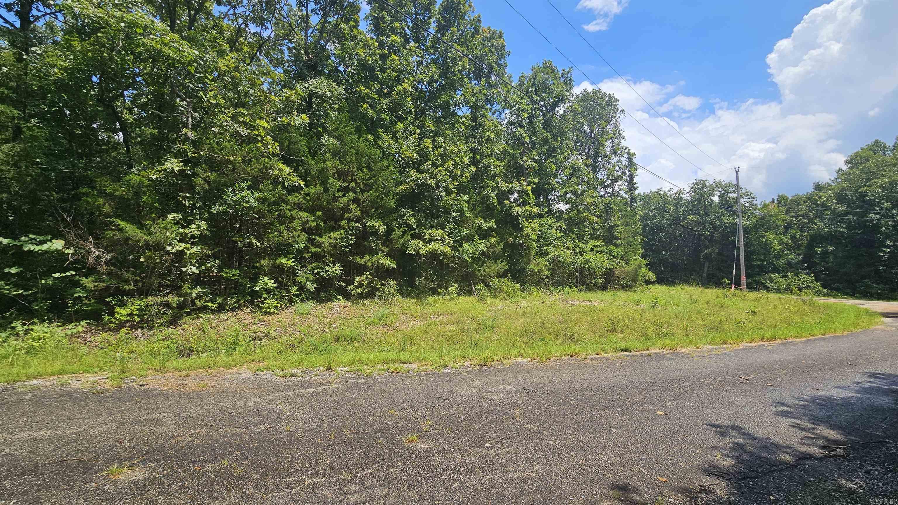 With all of the amenities that Cherokee Village has to offer, take advantage of this offering of two residential lots to build your forever home on! Enjoy the golf courses or the many lakes withing the village as life passes by! This offering has all of the amenities! Electric, high speed internet and water! Great building spots! Easy access! Beautiful setting! Wildlife just out your front door!!! Restrictions do apply to this property.