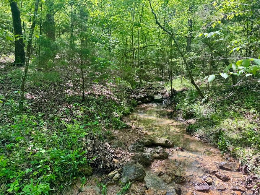 Escape to the Ozarks with this beautiful 10.02-acre wooded property located in Hickory Ridge Estates—just minutes from Hardy, Arkansas and Mammoth Spring, Arkansas.  Situated on Lots 7 and 8, this secluded land offers a serene setting with a wet-weather creek, abundant white oaks, and other mature trees, making it a perfect spot for hunting or camping.  Enjoy natural surroundings, wildlife, and close access to town amenities, all while being tucked away in a rural and scenic area.