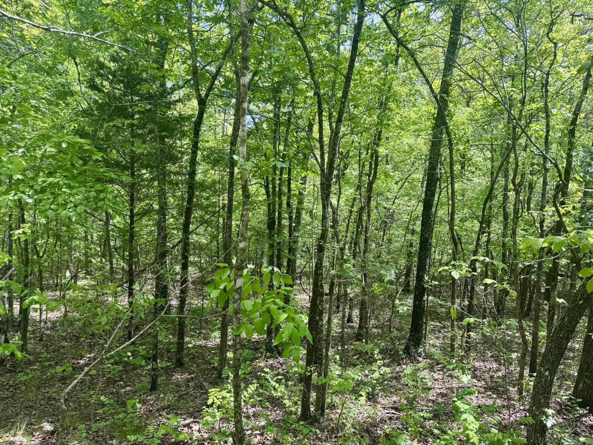 HICKORY RIDGE EST - Land