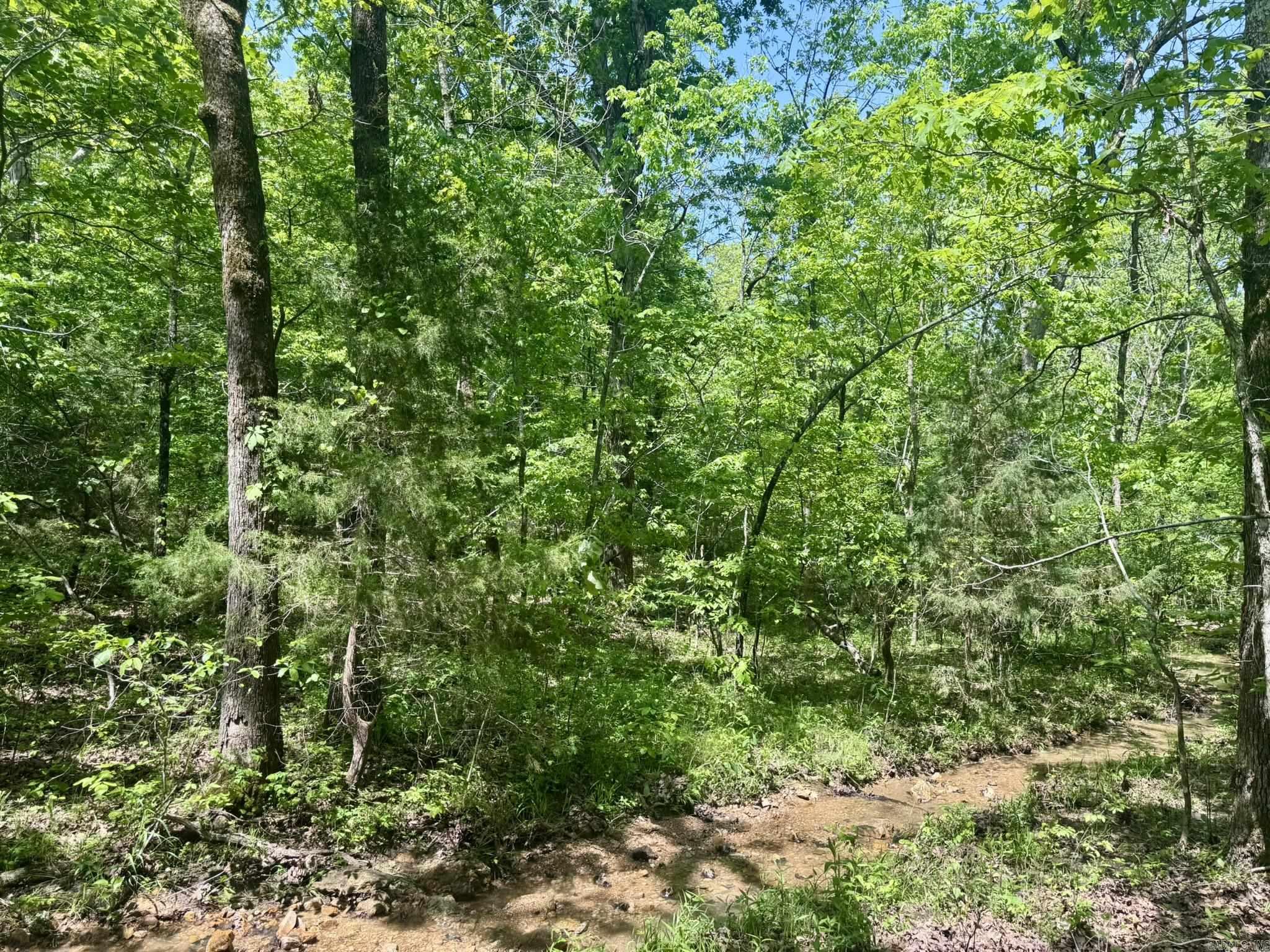 HICKORY RIDGE EST - Land