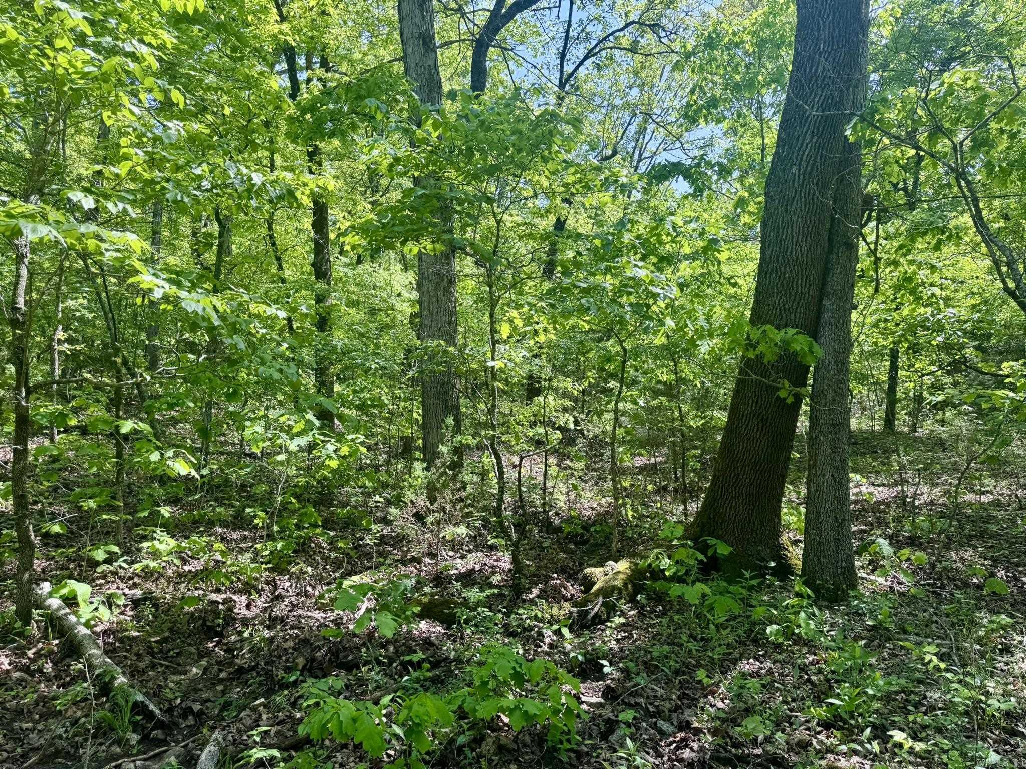 HICKORY RIDGE EST - Land