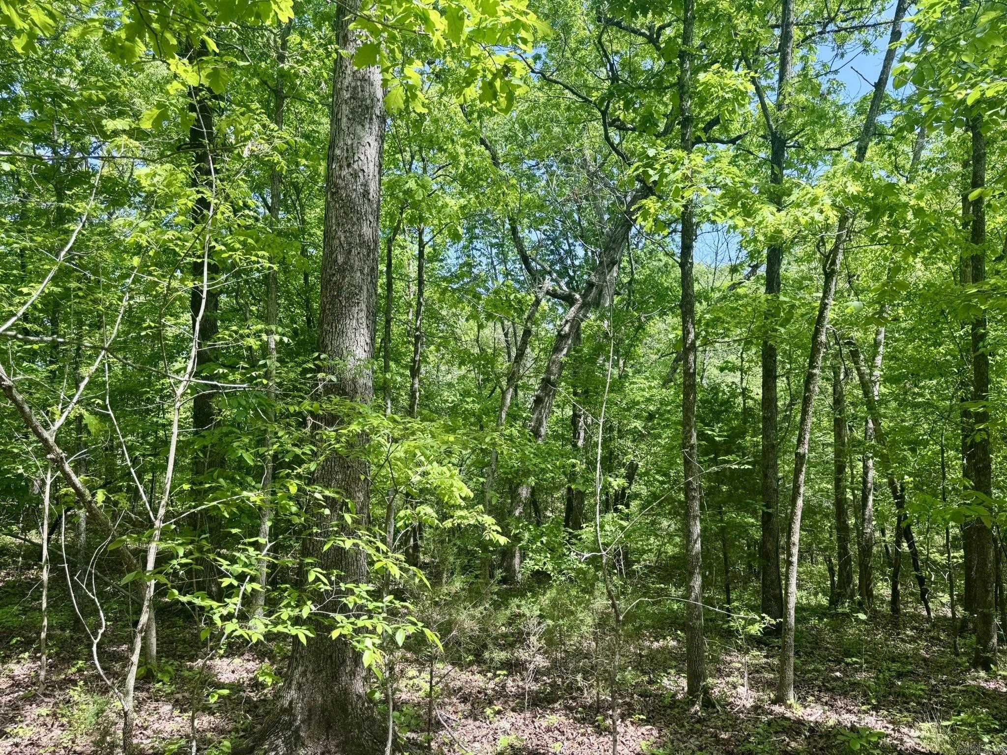 HICKORY RIDGE EST - Land