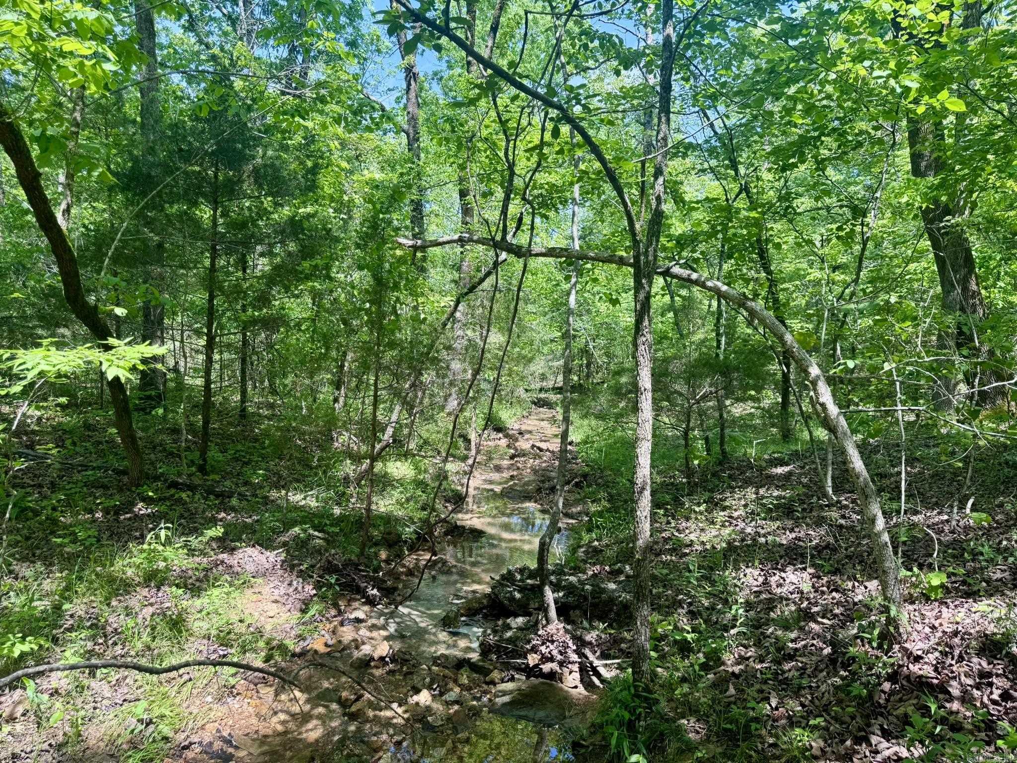 HICKORY RIDGE EST - Land