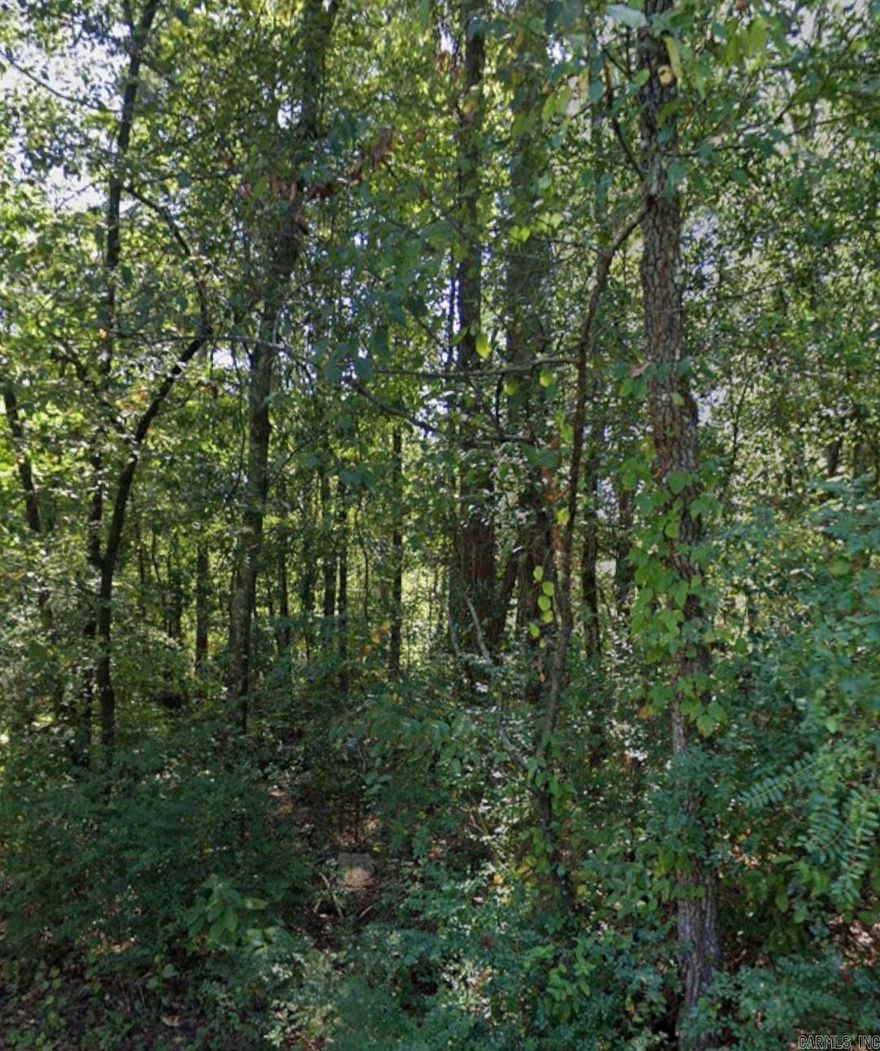 Build a new home or place a small, manufactured home on this .14 (+/-) acre lot in Pine Bluff. It is only minutes from local amenities and just a short drive to Lake Saracen and the resort. Call or text for more information.