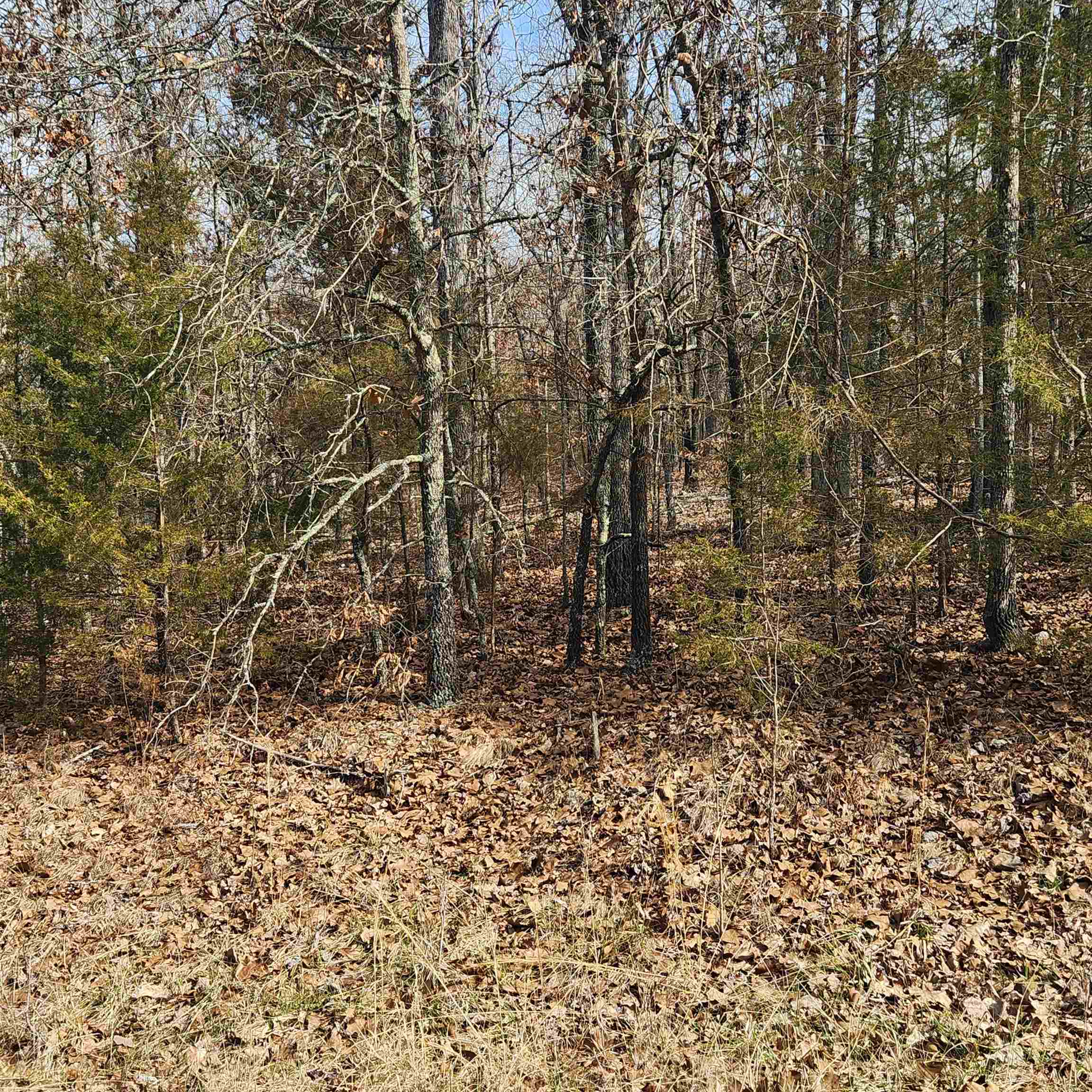 This is a wonderful lot on the Fulton County side of Cherokee Village. It is very near to Lake Chanute. Possibly a Lake view, depending on building site and future development. It is a wooded lot on a Cul-de-sac Street, with only one other neighbor sitting catty-cornered from the lot, and down on the lake. This lot would be a great building site with its location being withing 300' of the lake. Plan your forever home, vacation getaway or even your permanent home. Come check out this lot and pick your spot. Don't forget that ownership of this lot gives you access to all of Cherokee Village amenities. Like the 7 lakes, 2 golf courses, The Thunderbird Center, swimming pool and mini golf as well as the Omaha Center. Not to mention the Beautiful Southfork River meandering its way through the Village great for floating, kayaking and fishing. Come for a visit but stay forever.