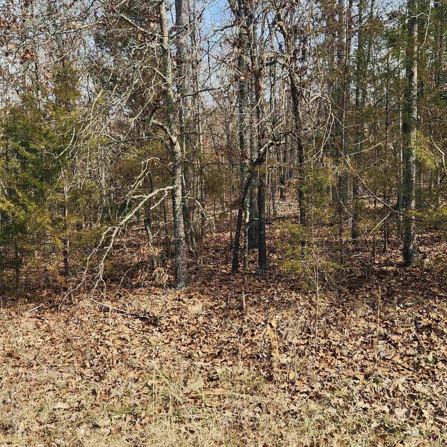 This is a wonderful lot on the Fulton County side of Cherokee Village. It is very near to Lake Chanute. Possibly a Lake view, depending on building site and future development. It is a wooded lot on a Cul-de-sac Street, with only one other neighbor sitting catty-cornered from the lot, and down on the lake. This lot would be a great building site with its location being withing 300' of the lake. Plan your forever home, vacation getaway or even your permanent home. Come check out this lot and pick your spot. Don't forget that ownership of this lot gives you access to all of Cherokee Village amenities. Like the 7 lakes, 2 golf courses, The Thunderbird Center, swimming pool and mini golf as well as the Omaha Center. Not to mention the Beautiful Southfork River meandering its way through the Village great for floating, kayaking and fishing. Come for a visit but stay forever.
