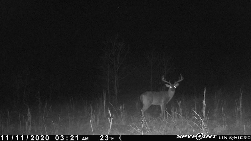 335 Acres on Martin Creek – Hardy, Arkansas A rare opportunity to own a stunning 335-acre tract featuring rolling hills, mature hardwoods, open pasture, and over 1/4mile of live water along Martin Creek. This property is a hunter’s paradise, perfect for deer, turkey, and other wildlife. Ideal for a private retreat, recreational haven, or future development. Multiple build sites with breathtaking views, secluded yet accessible, just minutes from Hardy’s shops, restaurants, and Spring River attractions. No restrictions—endless possibilities await!  ?? Acreage this size with creek frontage is hard to find—don’t miss your chance!  ?? Call today to schedule your showing!