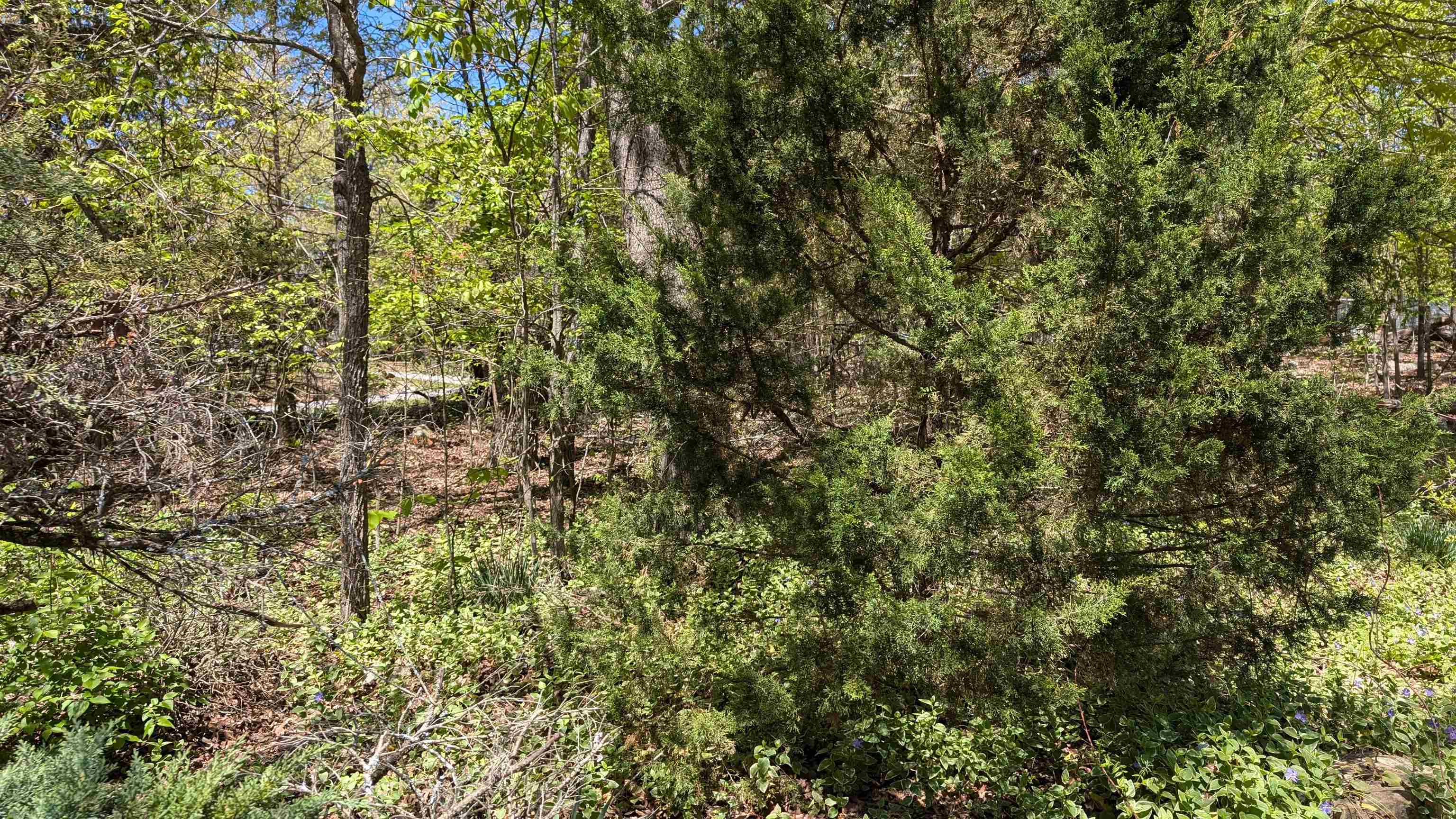 NORTH SHORE - Residential