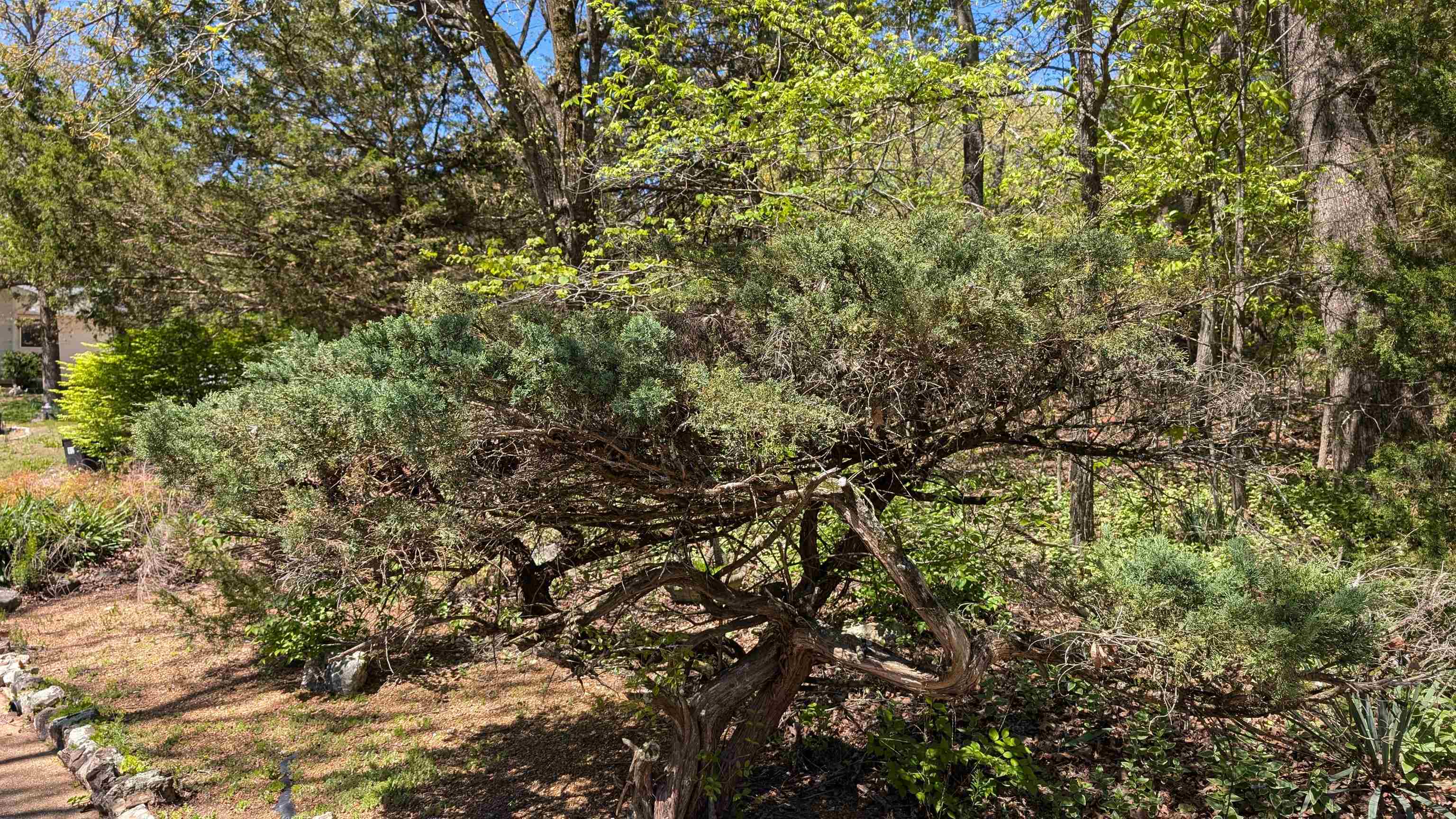 NORTH SHORE - Residential