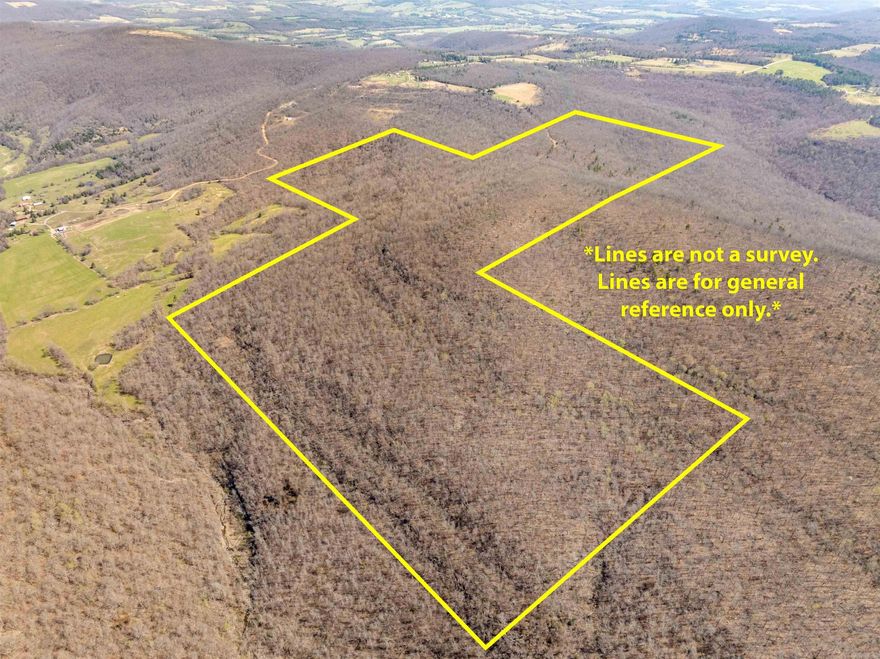 Discover the perfect blend of seclusion, natural beauty, and investment potential with this 199.84-acre tract located in Fox, Stone County, Arkansas. This property offers a diverse landscape featuring marketable timber, rolling terrain, and striking bluffs that provide incredible panoramic views of the surrounding Ozark countryside. Accessed via an easement road, the land remains private and undisturbed, making it an ideal retreat for those seeking peace and quiet. Abundant wildlife signs, including deer and turkey, make this a prime hunting property or recreational getaway. Whether you’re looking to develop a secluded cabin site, establish a hunting camp, or simply invest in quality Arkansas land, this property delivers. With no utilities currently on site, you have the freedom to create an off-grid escape tailored to your vision. Rarely does a tract of this size and price come available in such a desirable area—don’t miss your chance to own a true piece of the Ozarks.