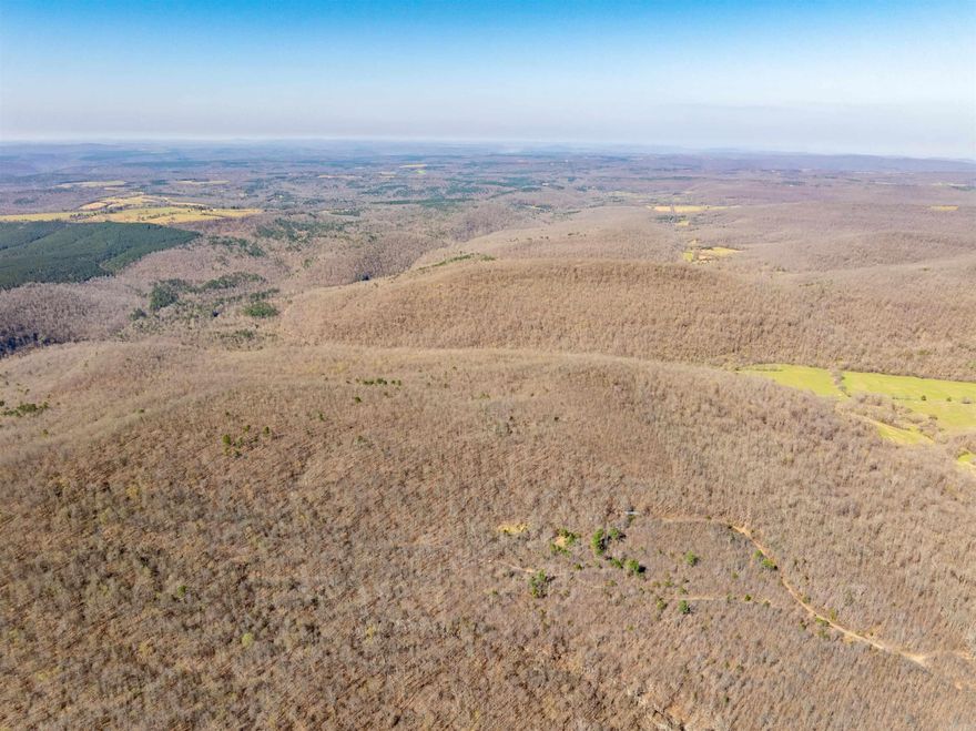 Discover the perfect blend of seclusion, natural beauty, and investment potential with this 199.84-acre tract located in Fox, Stone County, Arkansas. This property offers a diverse landscape featuring mature, marketable timber, rolling terrain, and striking bluffs that provide incredible panoramic views of the surrounding Ozark countryside. Accessed via an easement road, the land remains private and undisturbed, making it an ideal retreat for those seeking peace and quiet. Abundant wildlife signs, including deer and turkey, make this a prime hunting property or recreational getaway. Whether you’re looking to develop a secluded cabin site, establish a hunting camp, or simply invest in quality Arkansas land, this property delivers. With no utilities currently on site, you have the freedom to create an off-grid escape tailored to your vision. Rarely does a tract of this size and price come available in such a desirable area—don’t miss your chance to own a true piece of the Ozarks.