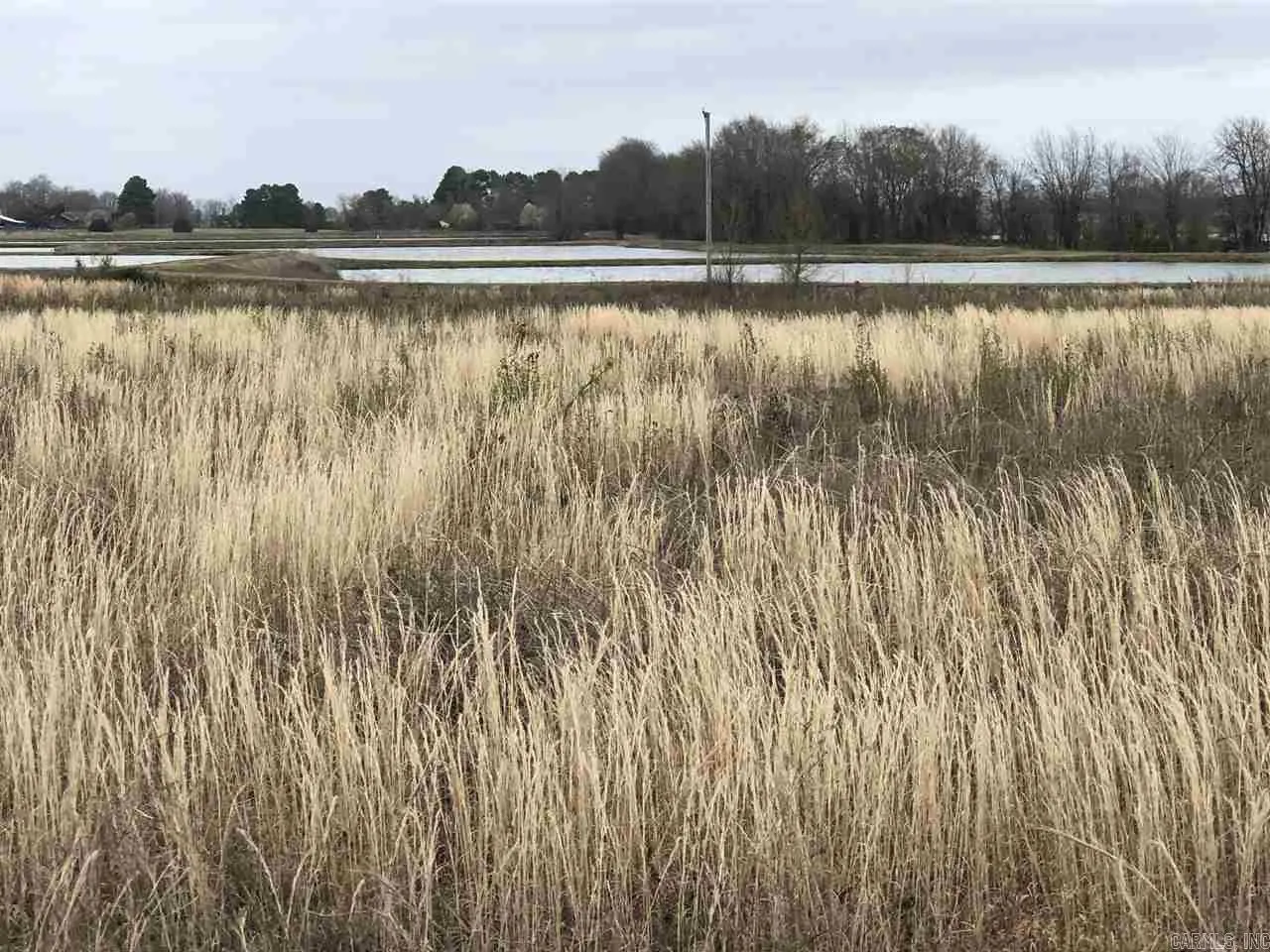 Lonoke, Arkansas 72086, United States, ,Commercial,Active,58536