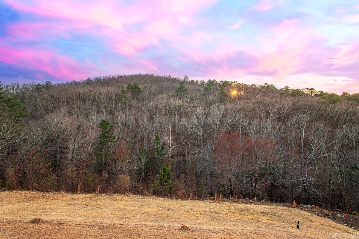 CHENAL VALLEY FALSTONE COURT - Residential