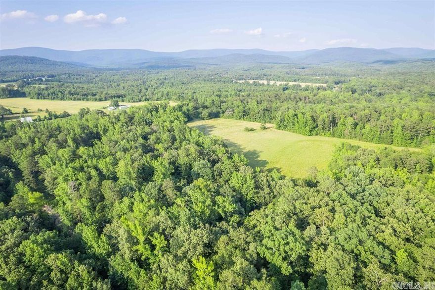 Nice partly Wooded and partly Pasture Land close to 200 acre Lake Wilhelmina, great for fishing! Rural Water across Polk 125 road, electric on the property. Great views of Rich Mountain!  Possible Owner financing available. Some restrictions apply. See agent remarks
