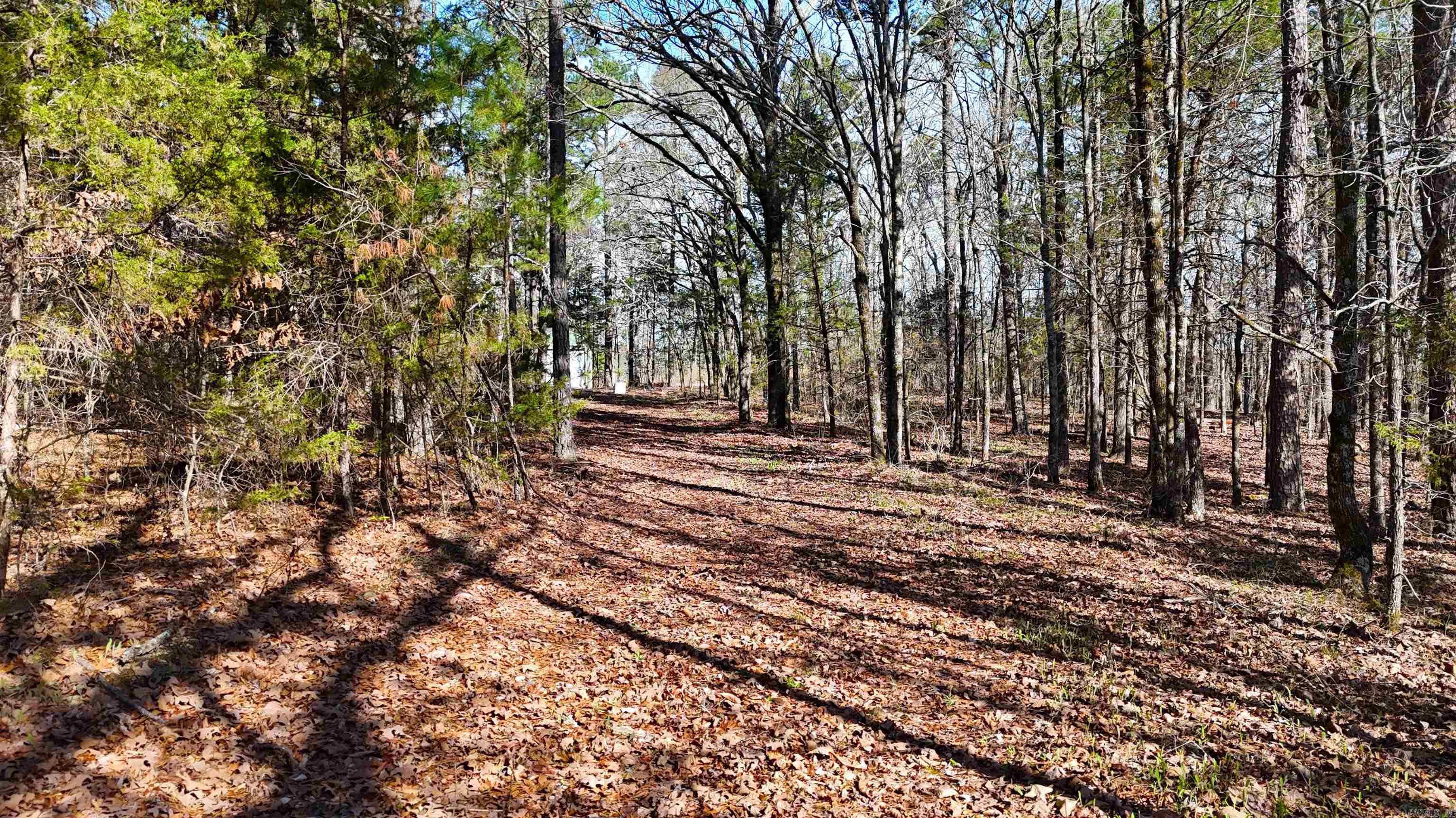 Metes & Bounds - Land