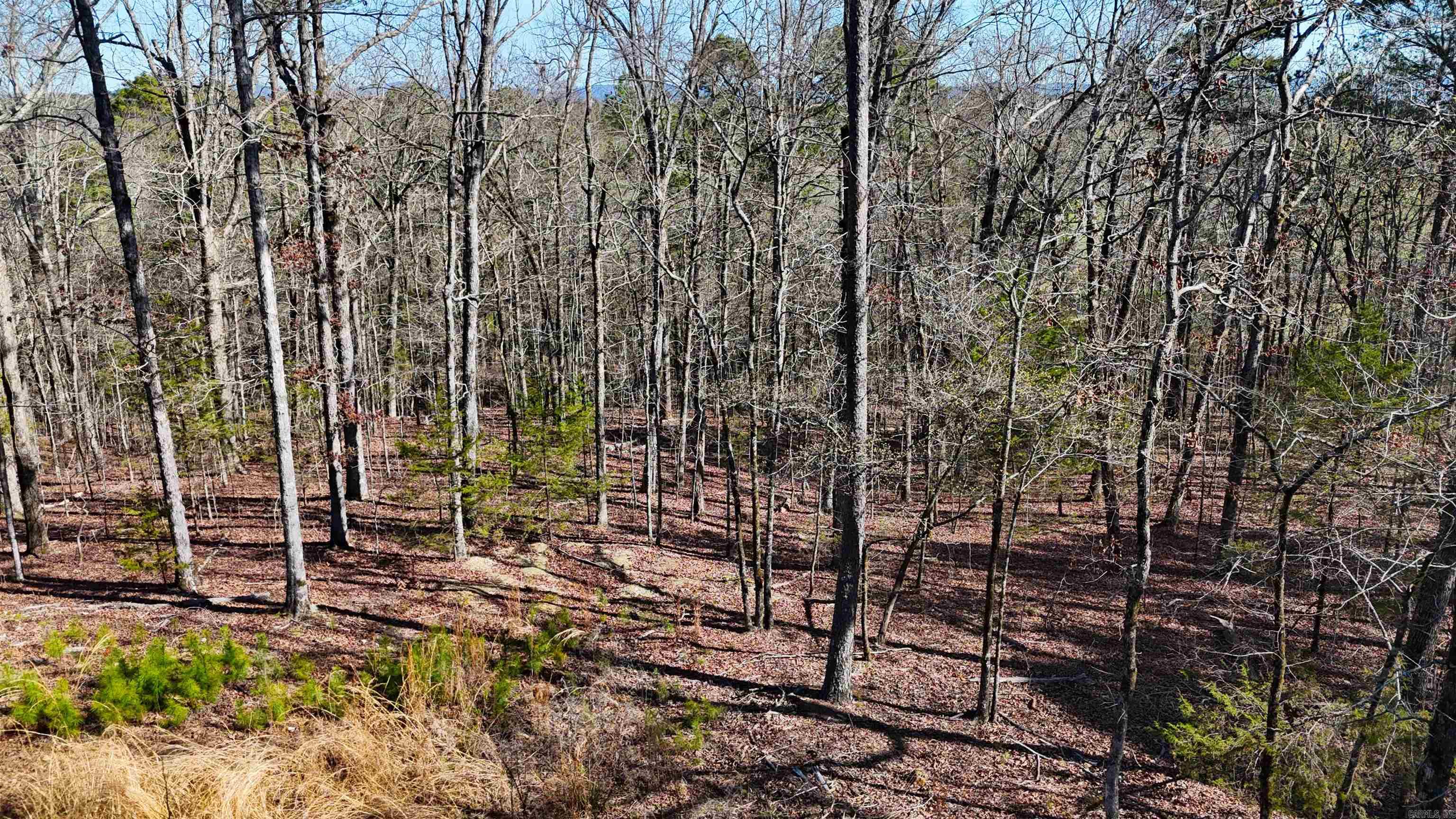 Metes & Bounds - Land