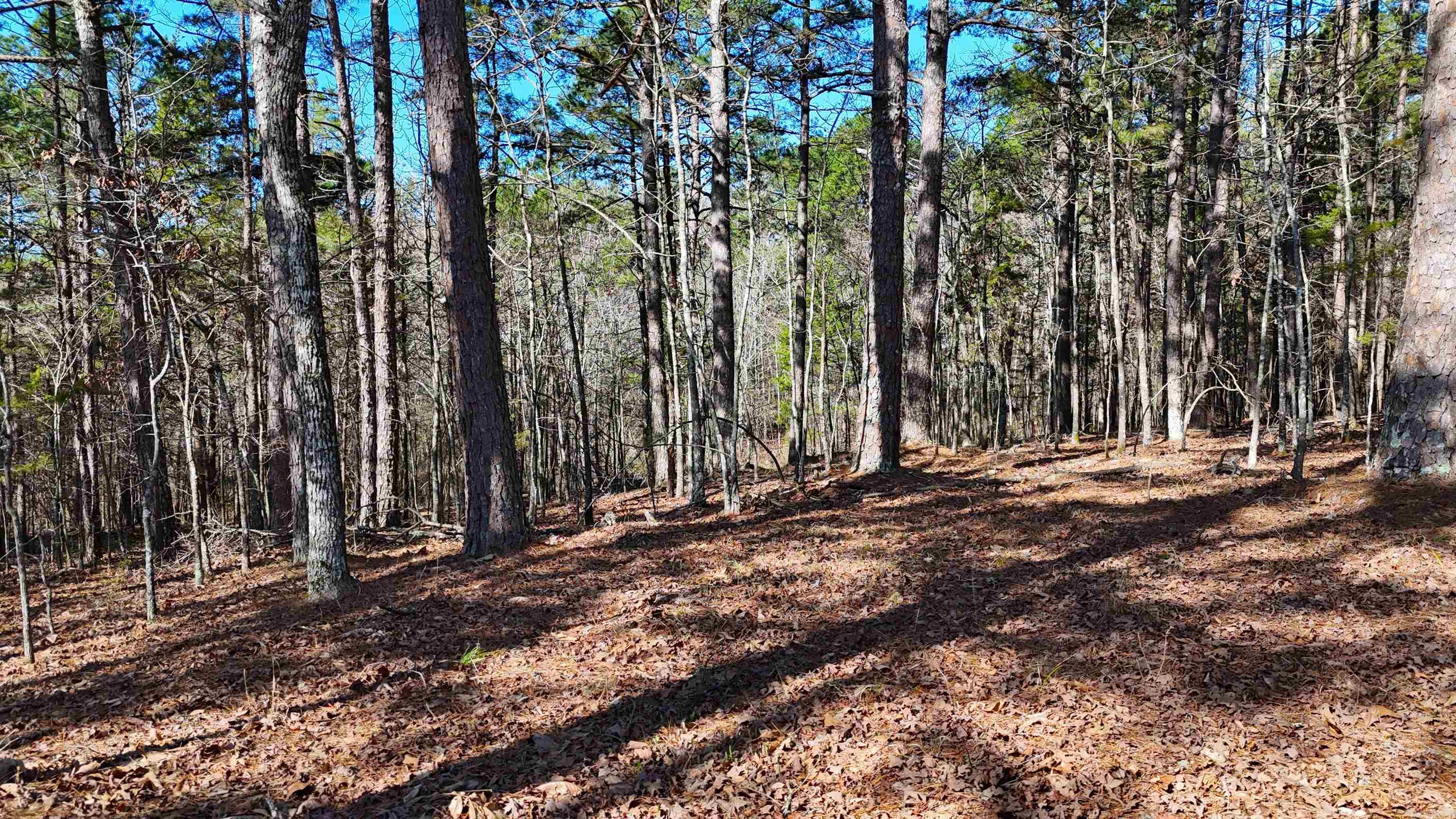 Metes & Bounds - Land