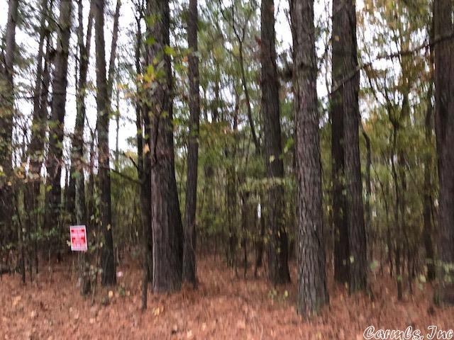 Nice wooded lot with utilities available. Great homesite.