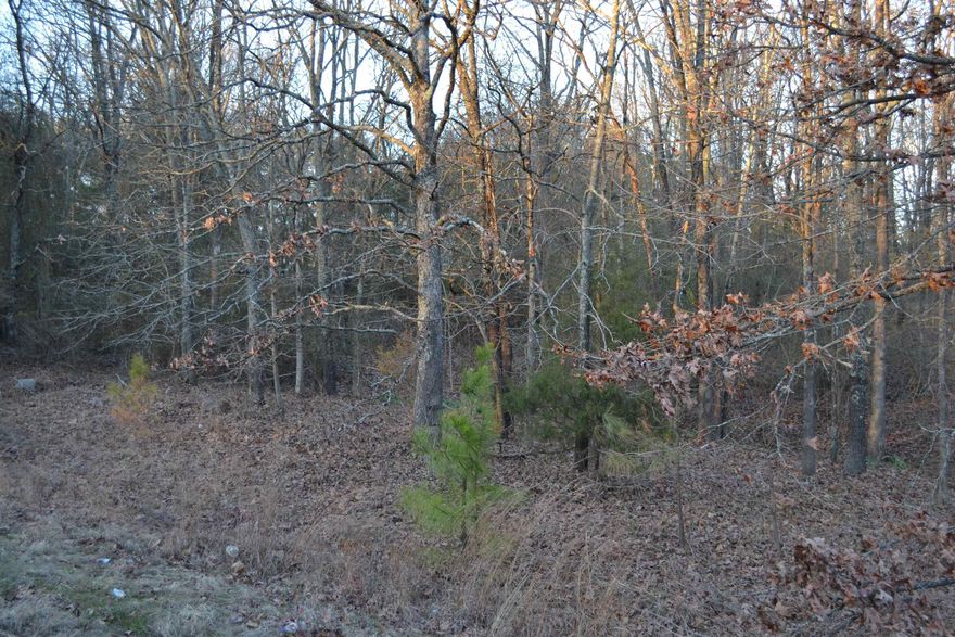 Nice land with hwy 107 frontage 1.6 acres rt before w . justice road intersection