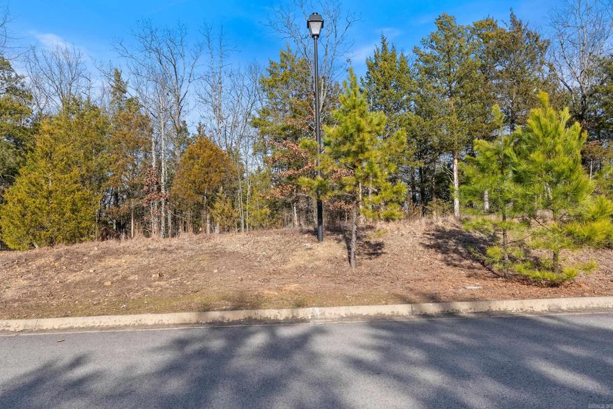 One acre in NW Conway on Conway Corp!!  Where are you going to find this??  Build your dream home on these 3 LOTS IN SPENCER MOUNTAIN!!!!!
