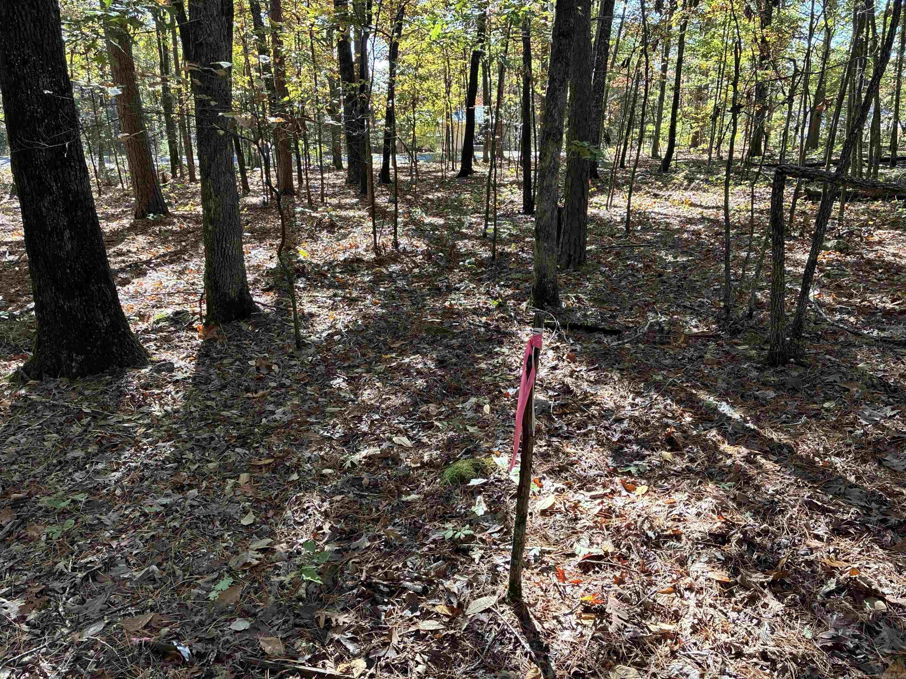 Chelsea Glade - Land