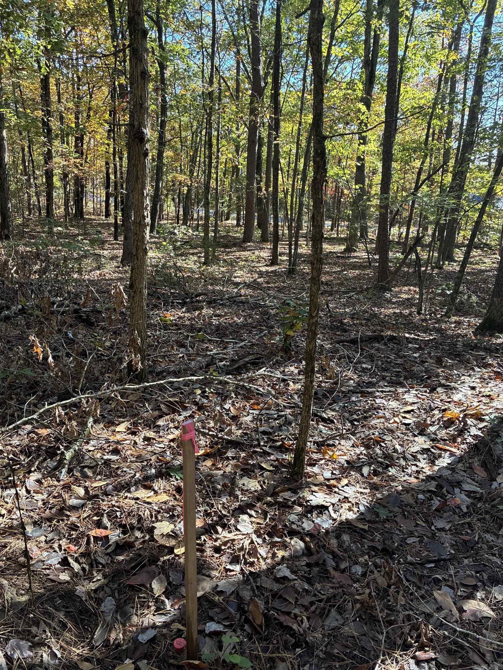 Chelsea Glade - Land