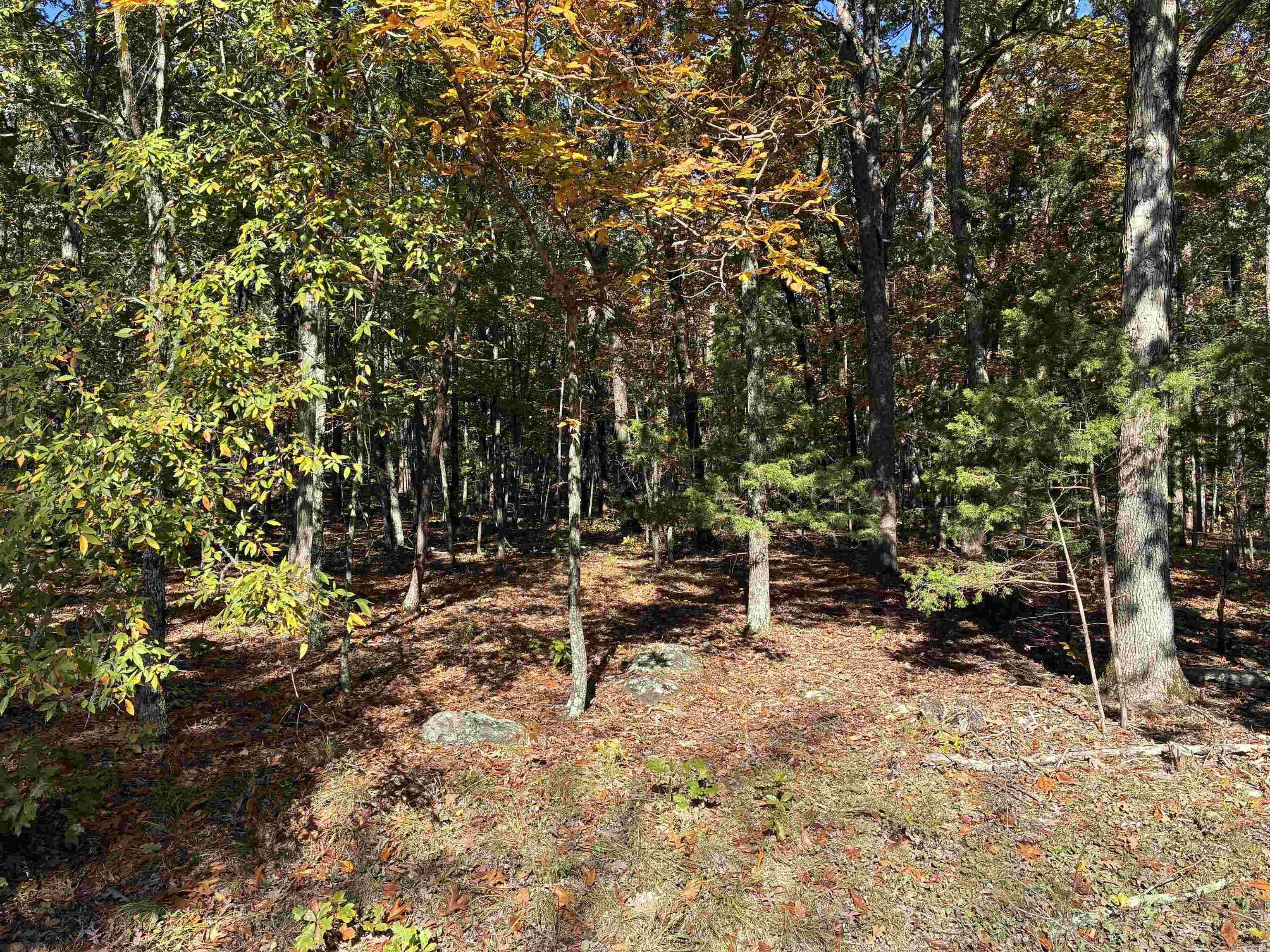 Chelsea Glade - Land