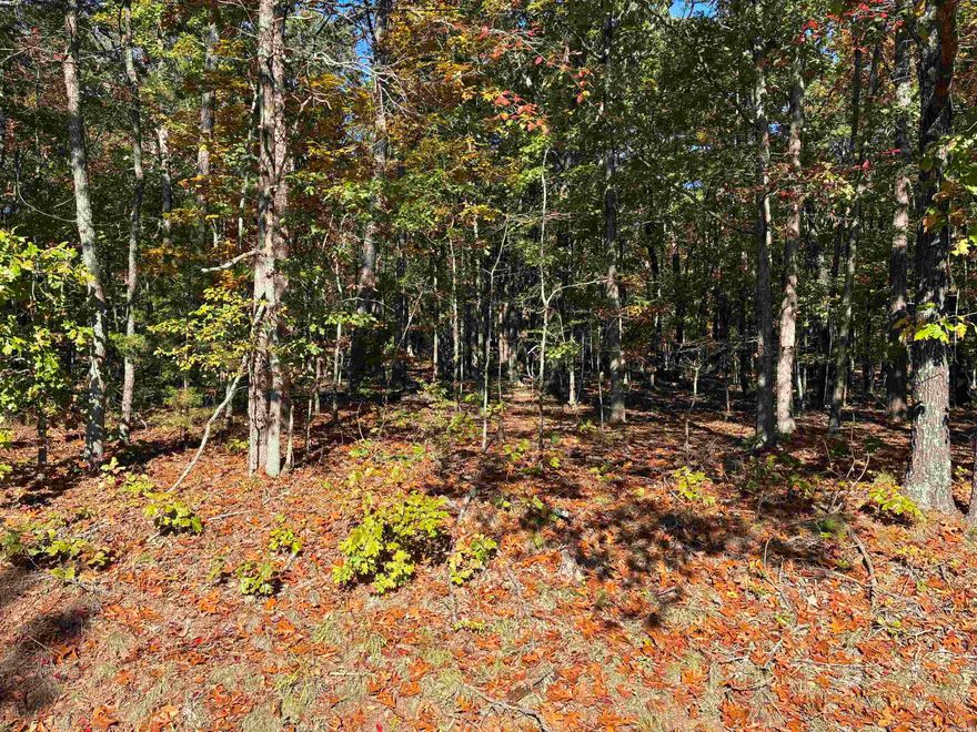 Discover the perfect spot to build your dream home or vacation retreat on this 0.48-acre vacant lot with 155 ft. of road frontage. Peaceful and wooded, this property offers privacy and the natural beauty of the Ozark Mountains while still being close to all the amenities of Fairfield Bay.  Enjoy resort-style living with access to Greers Ferry Lake, two 18-hole golf courses, hiking and biking trails, tennis, pickleball, and a full-service marinaāall just minutes away. The lot features gentle terrain and paved road access, with utilities nearby (water, sewer, and electricity available).  Whether youāre planning to build now or hold as an investment, this property offers excellent potential in one of Arkansasās most desirable lake communities.