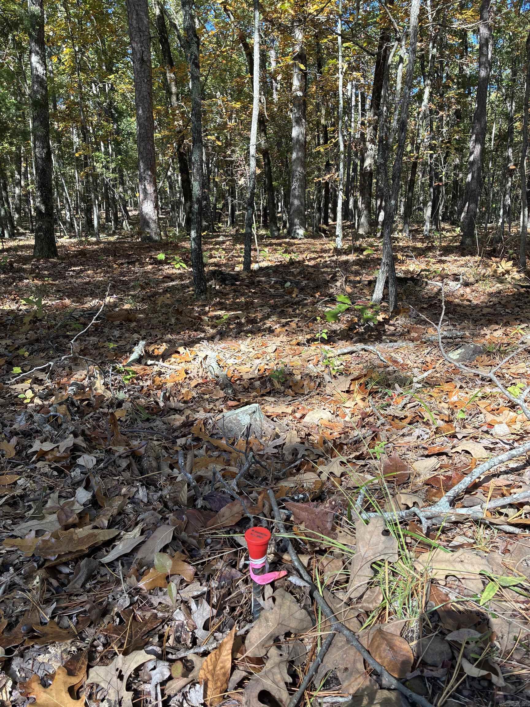 Chelsea Glade - Land