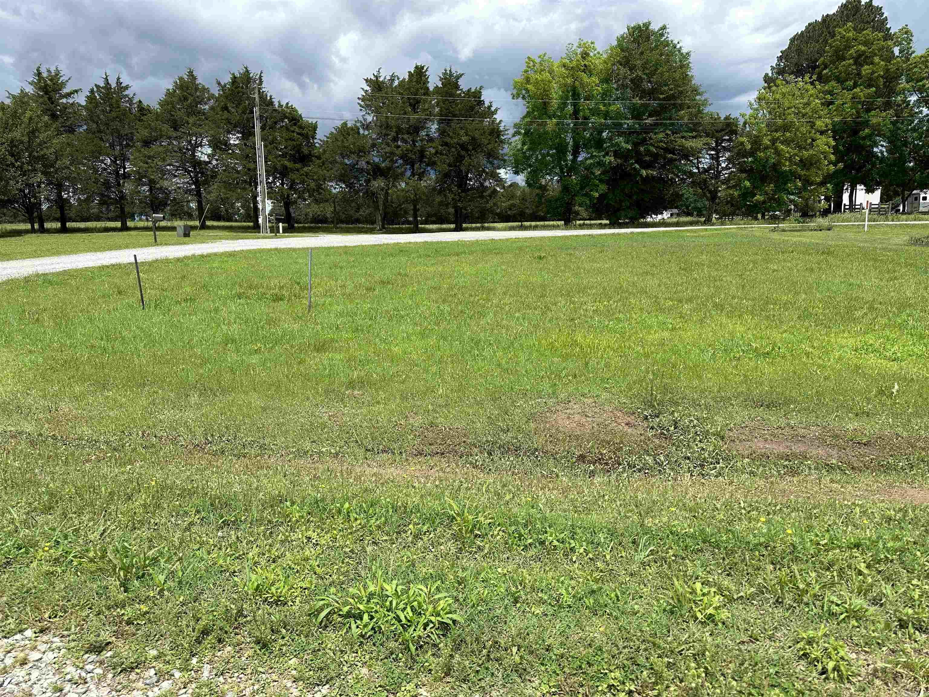 Nice buildable lot in the heart of Rose Bud.