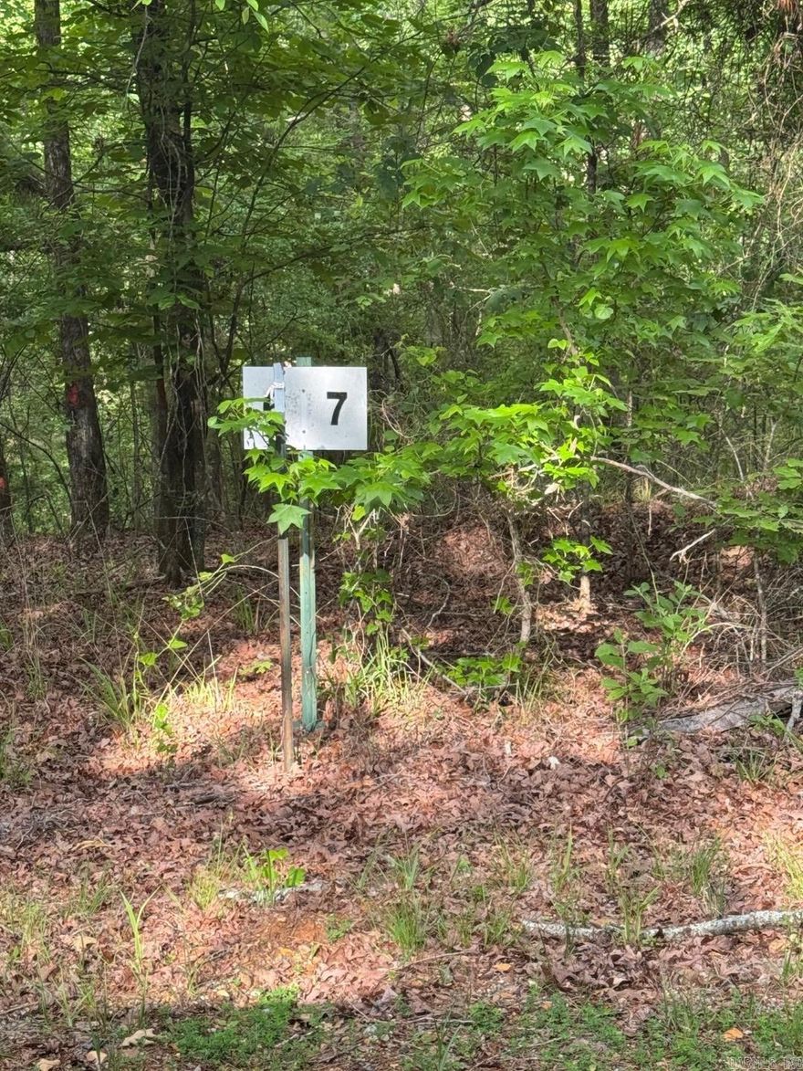 Discover your ideal homesite on Lot 7, featuring 3.36 acres of beautifully wooded land. This spacious property offers ample room for your dream house, surrounded by mature trees that provide both privacy and natural beauty. Nestled in a peaceful neighborhood, you’ll enjoy a tranquil setting while still being just minutes from town conveniences. Don’t miss this chance to secure the perfect lot for your new home!