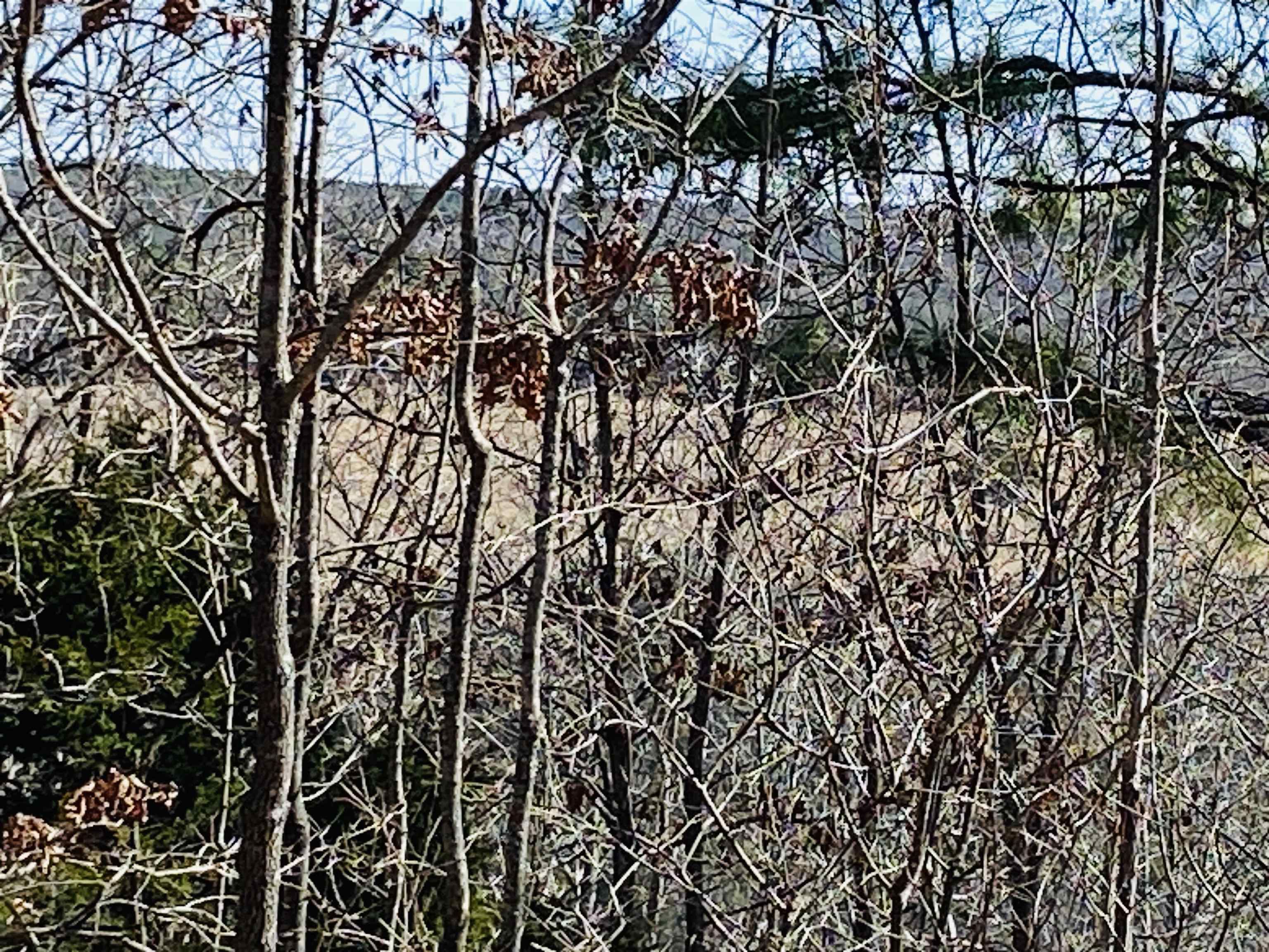 RIVER BEND RIDGE - Land