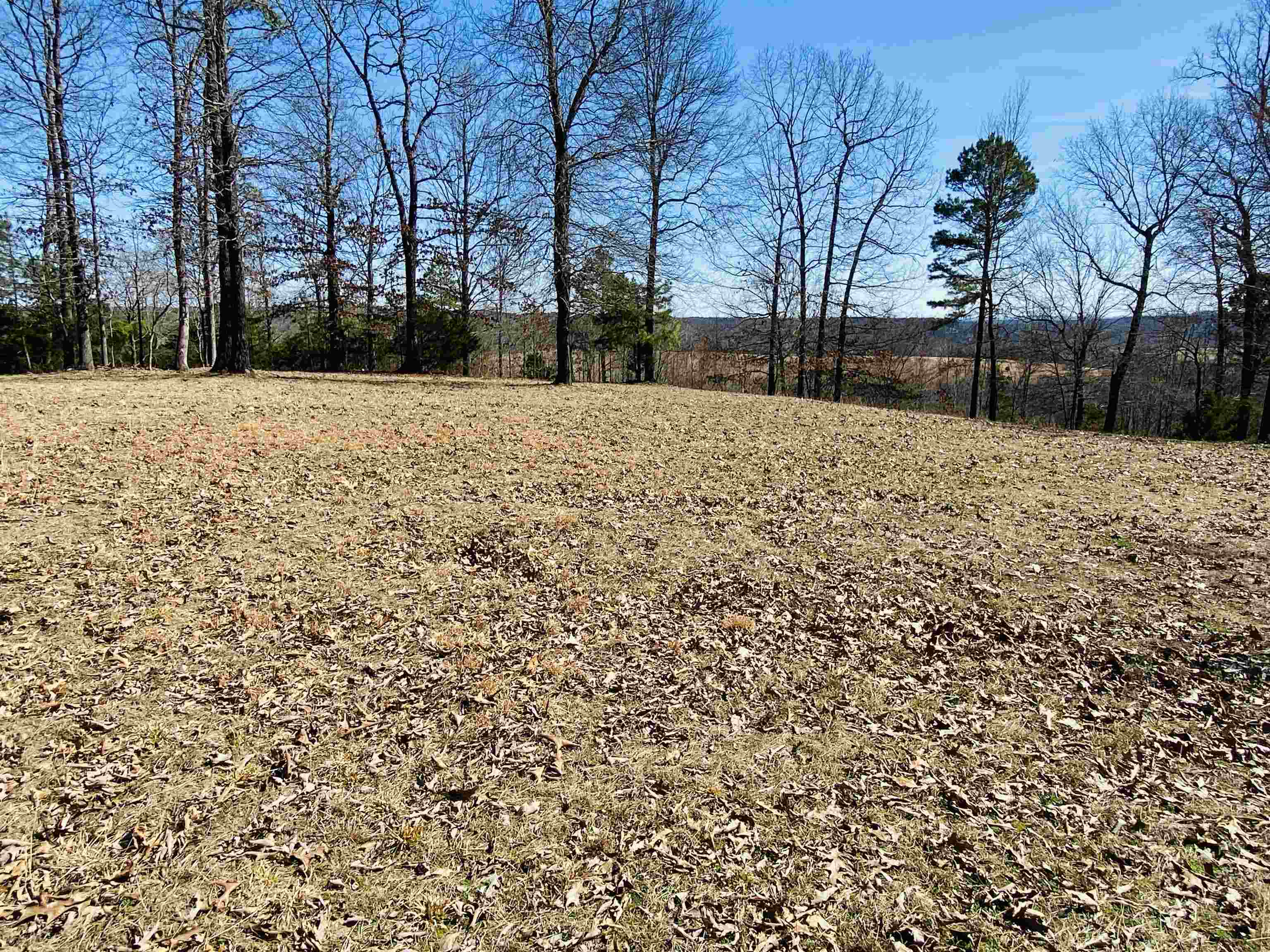 20.52 Acres with Stunning Ridge-Top Views Near White River & Lake Norfork! Discover 20.52 acres of prime land in the River Bend Ridge subdivision of Calico Rock, Arkansas, consisting of three lots (Lot 6, Lot 7, and Lot 8). Perched atop a ridge, this property offers breathtaking long-range views of the White River and features an excellent building site, perfect for your dream home, retirement retreat, or vacation cabin. Itās conveniently located near the White River and Norfork Lake, providing fantastic outdoor recreation, including fishing, boating, and more! Plus, it's just a short drive to Mountain Home, AR, for shopping, medical facilities, and entertainment. Donāt miss this incredible opportunity for only $99,500!