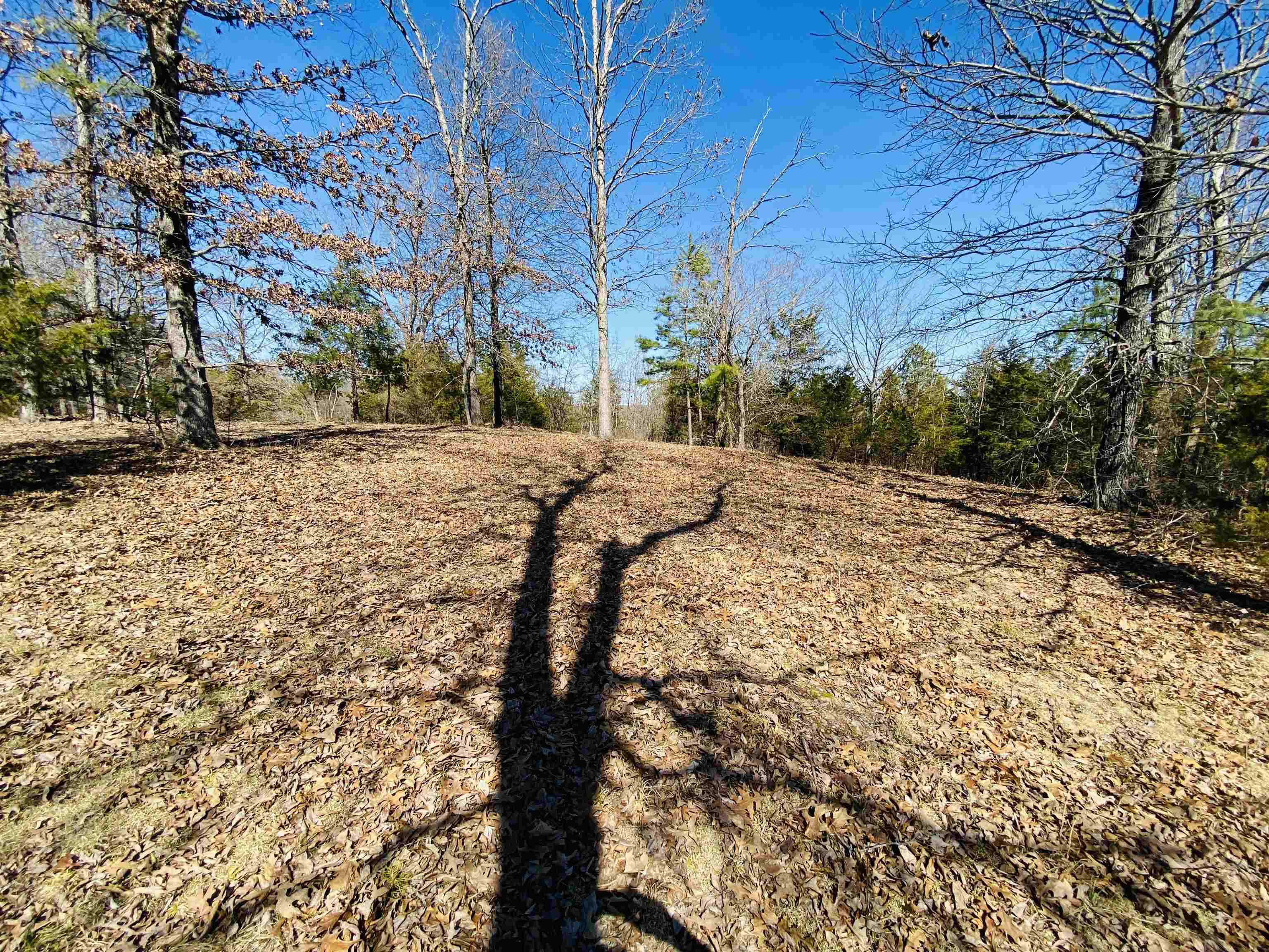 RIVER BEND RIDGE - Land